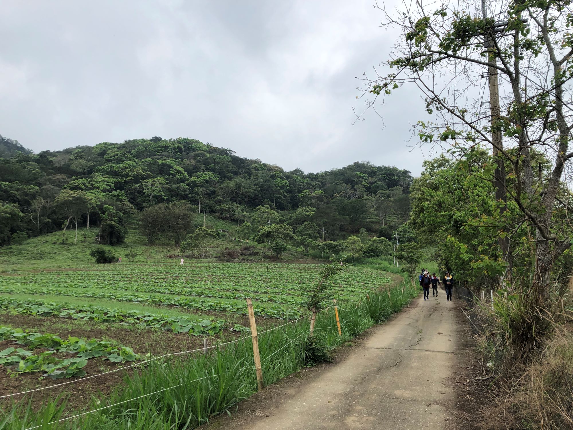 Reise durch Taiwan Reise durch Taiwan