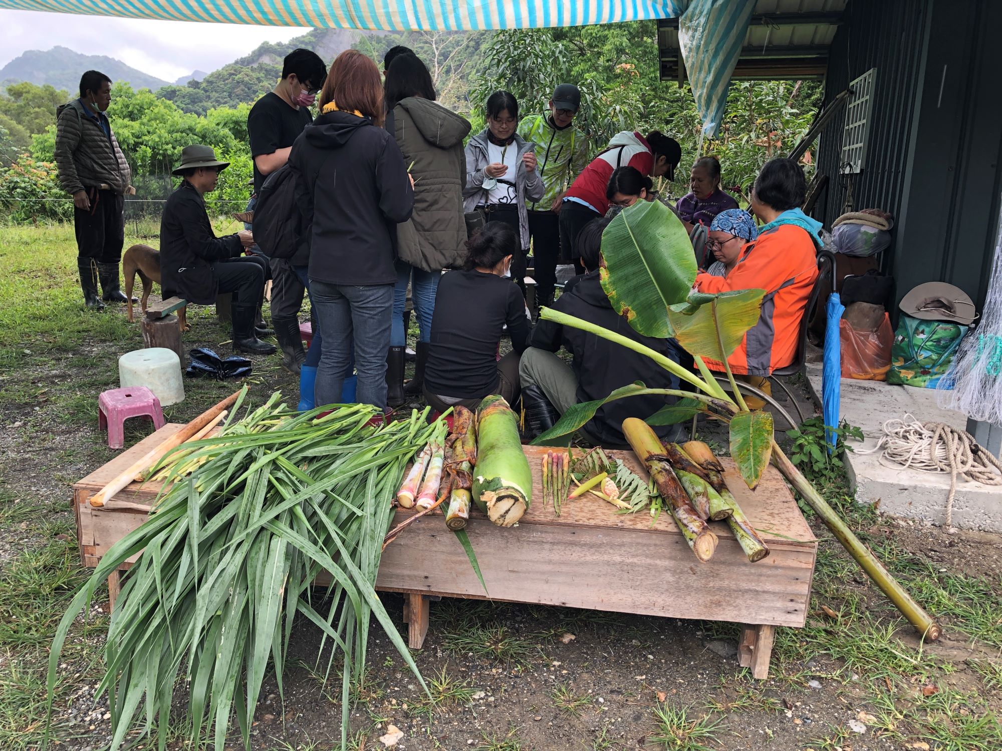 Reise durch Taiwan