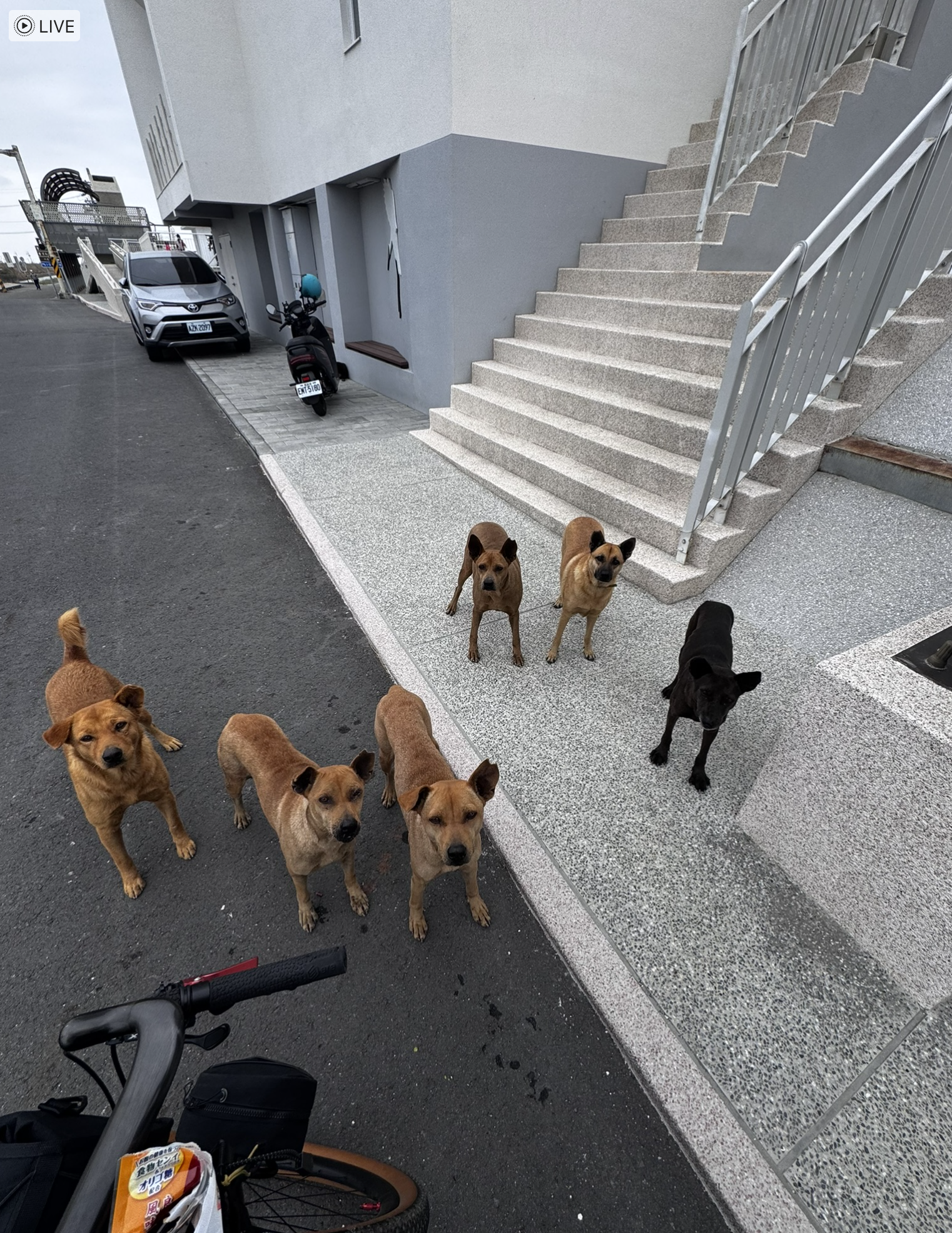 Leben in Taiwan