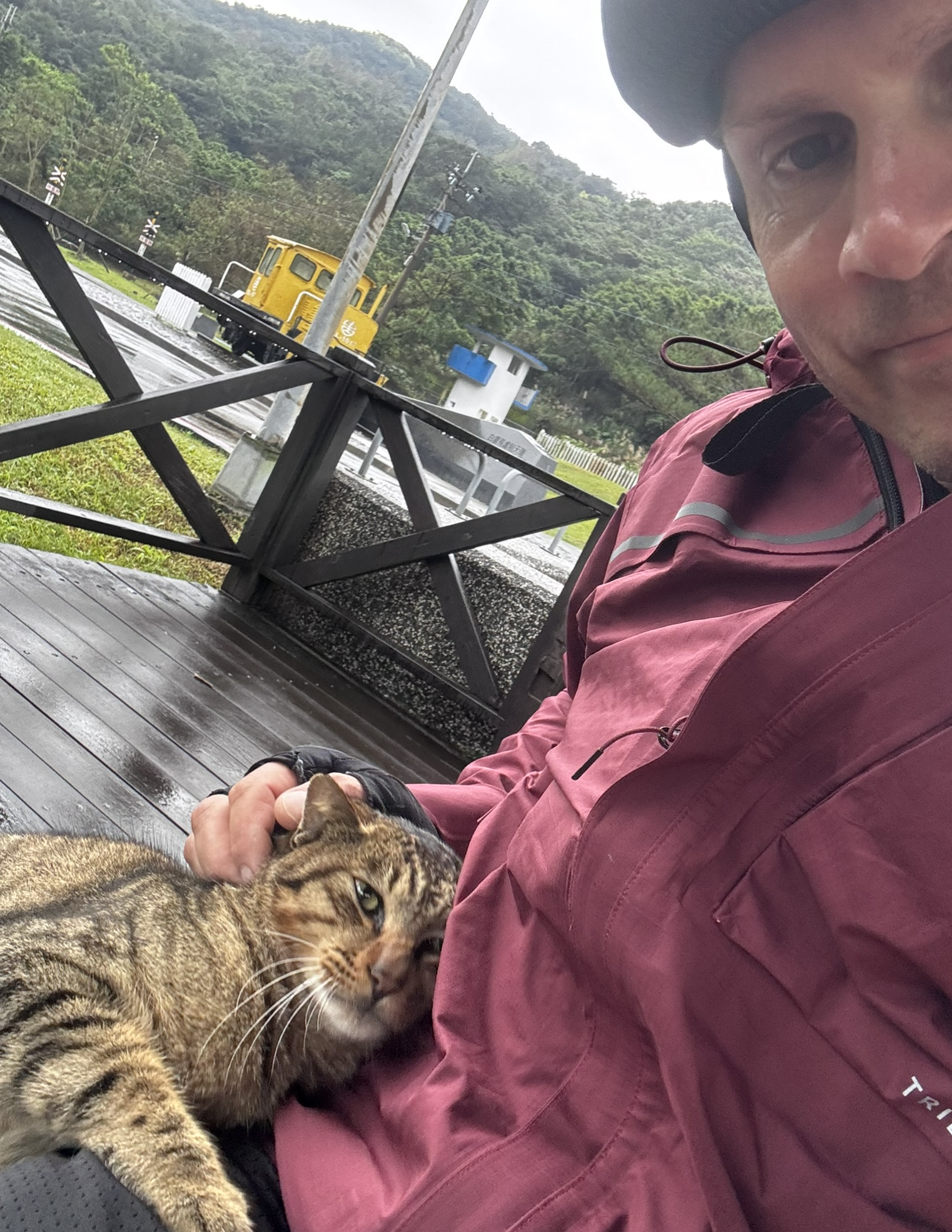 Leben in Taiwan