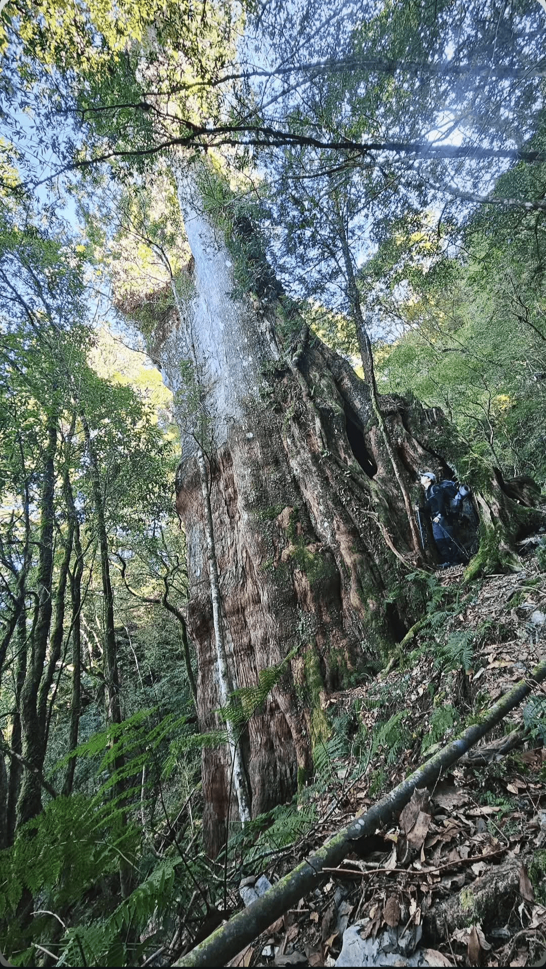Reise durch Taiwan