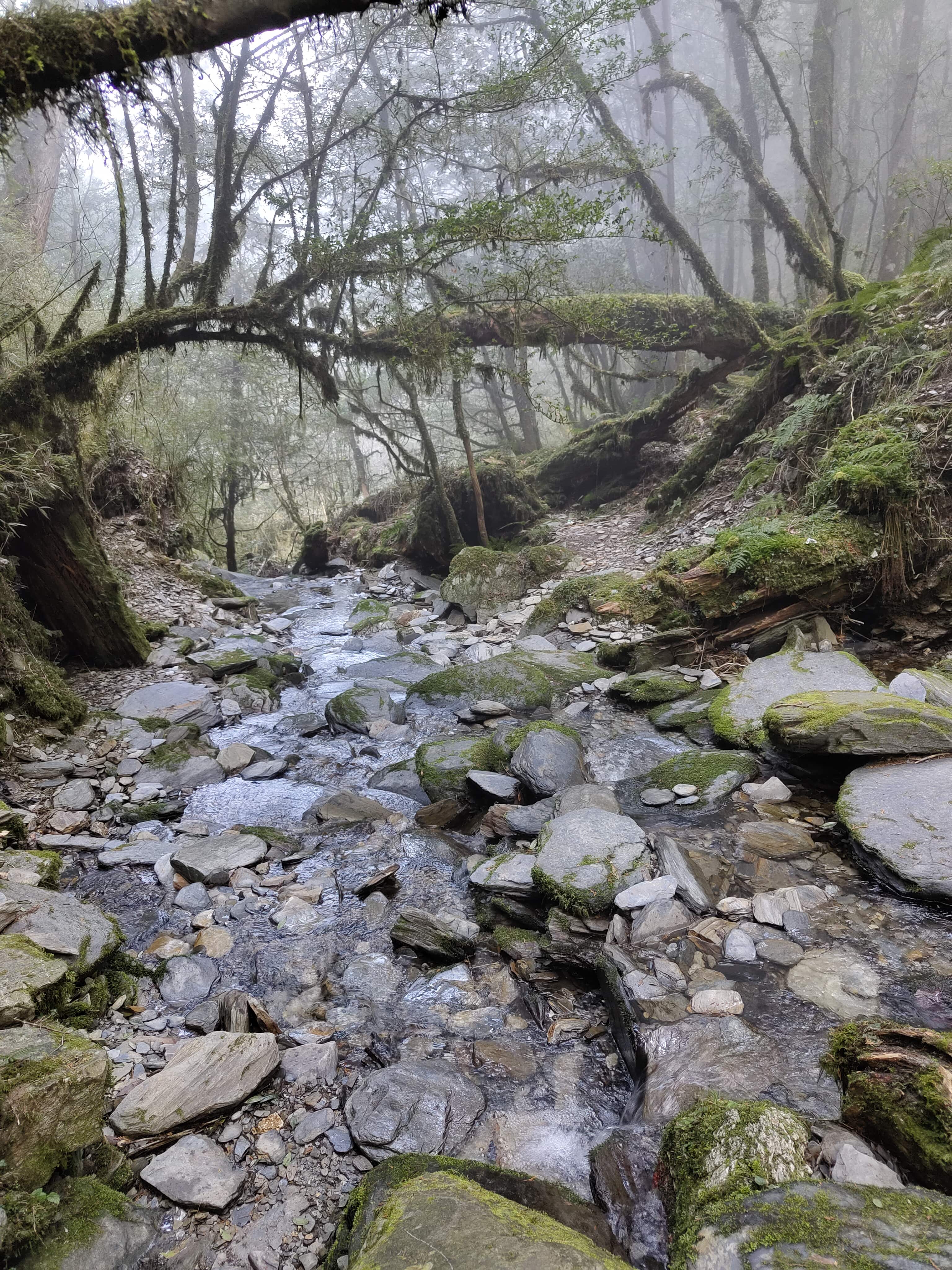 Reise durch Taiwan