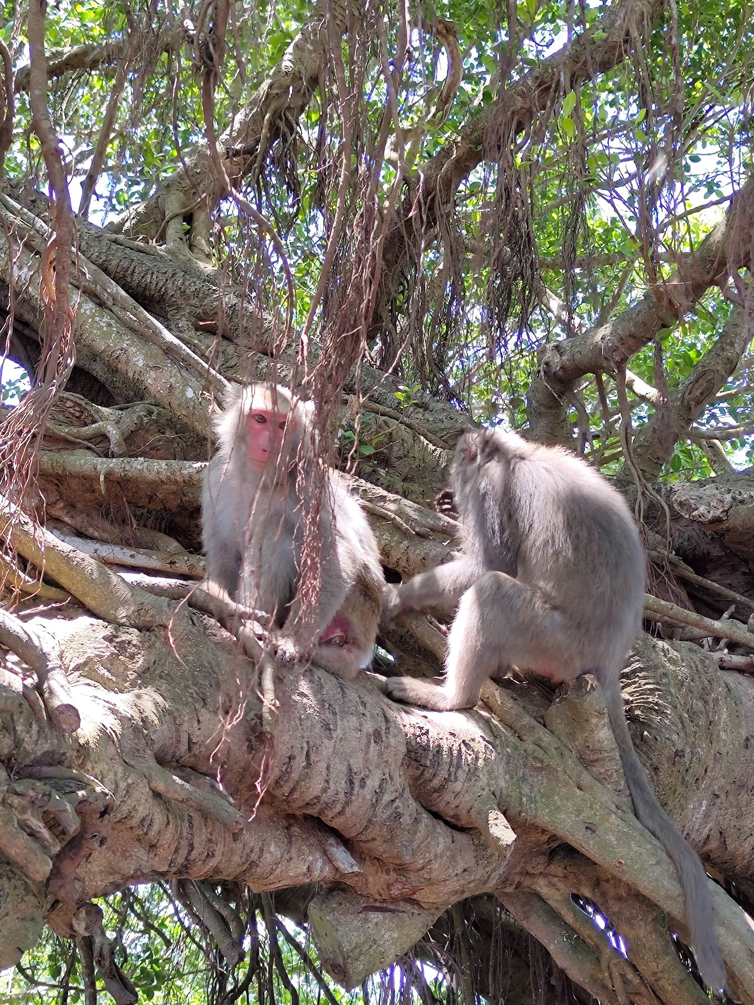 Reise durch Taiwan