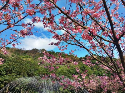 Reise durch Taiwan