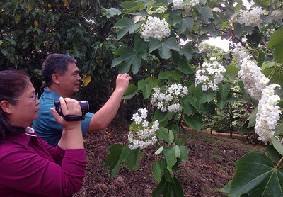 Reise durch Taiwan