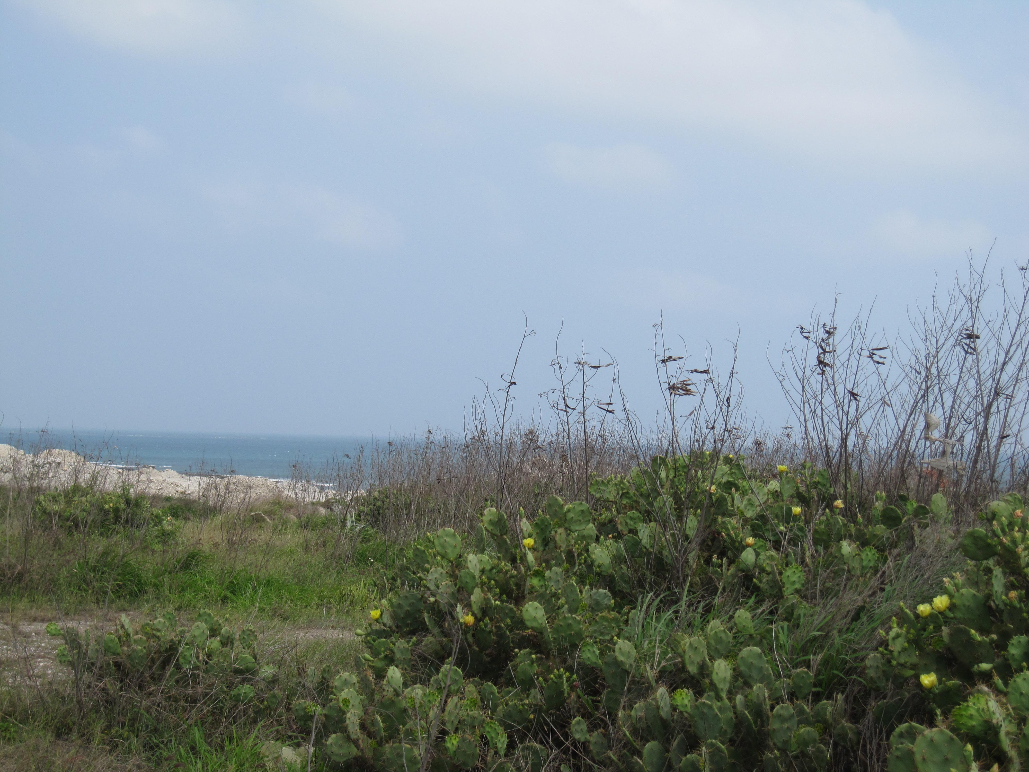 Reise durch Taiwan