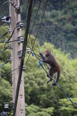 Reise: Shoushan in Kaohsiung