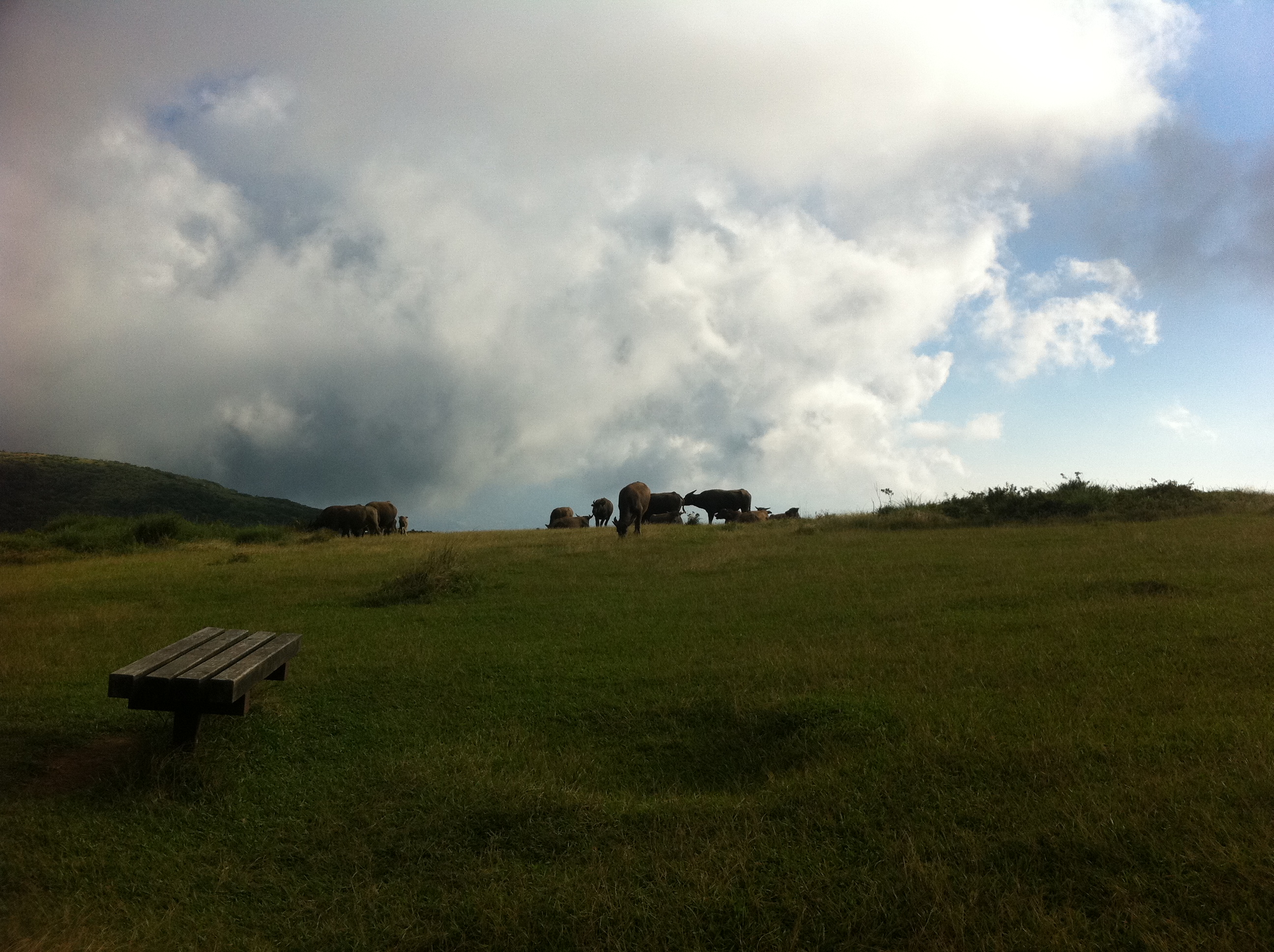 Reise durch Taiwan