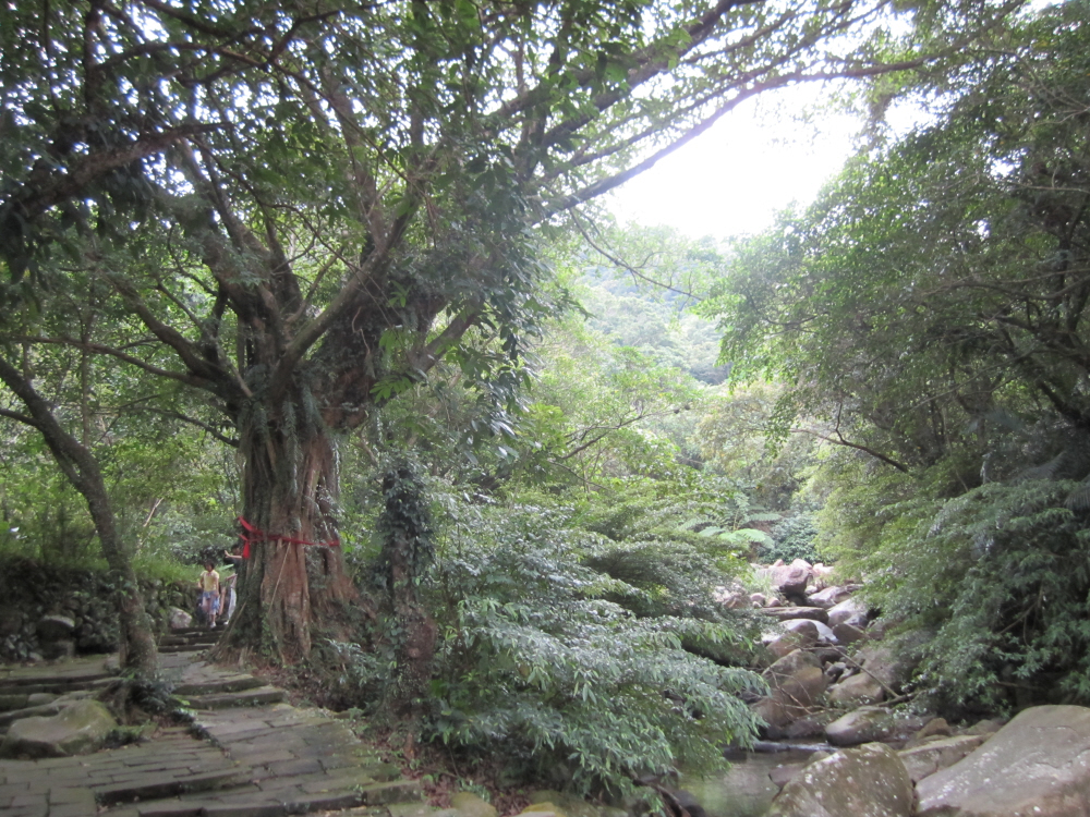 Reise durch Taiwan