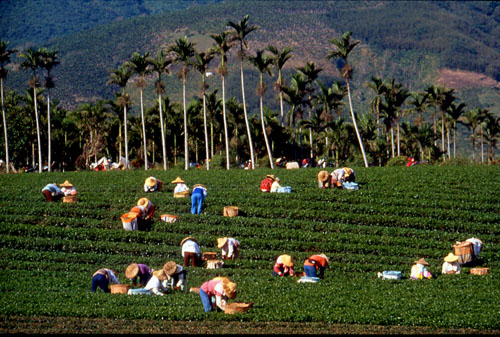 Reise durch Taiwan