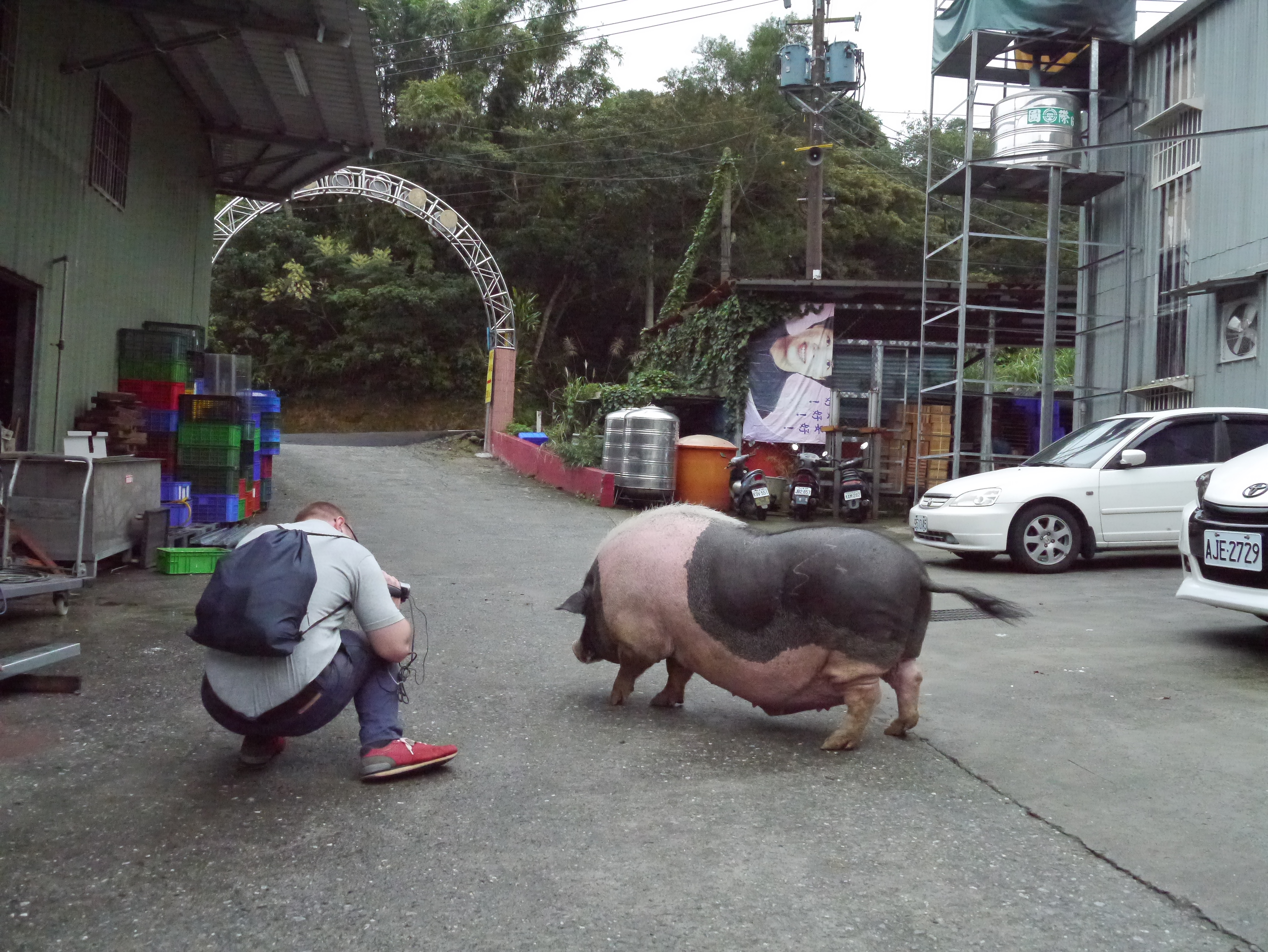 Reise durch Taiwan