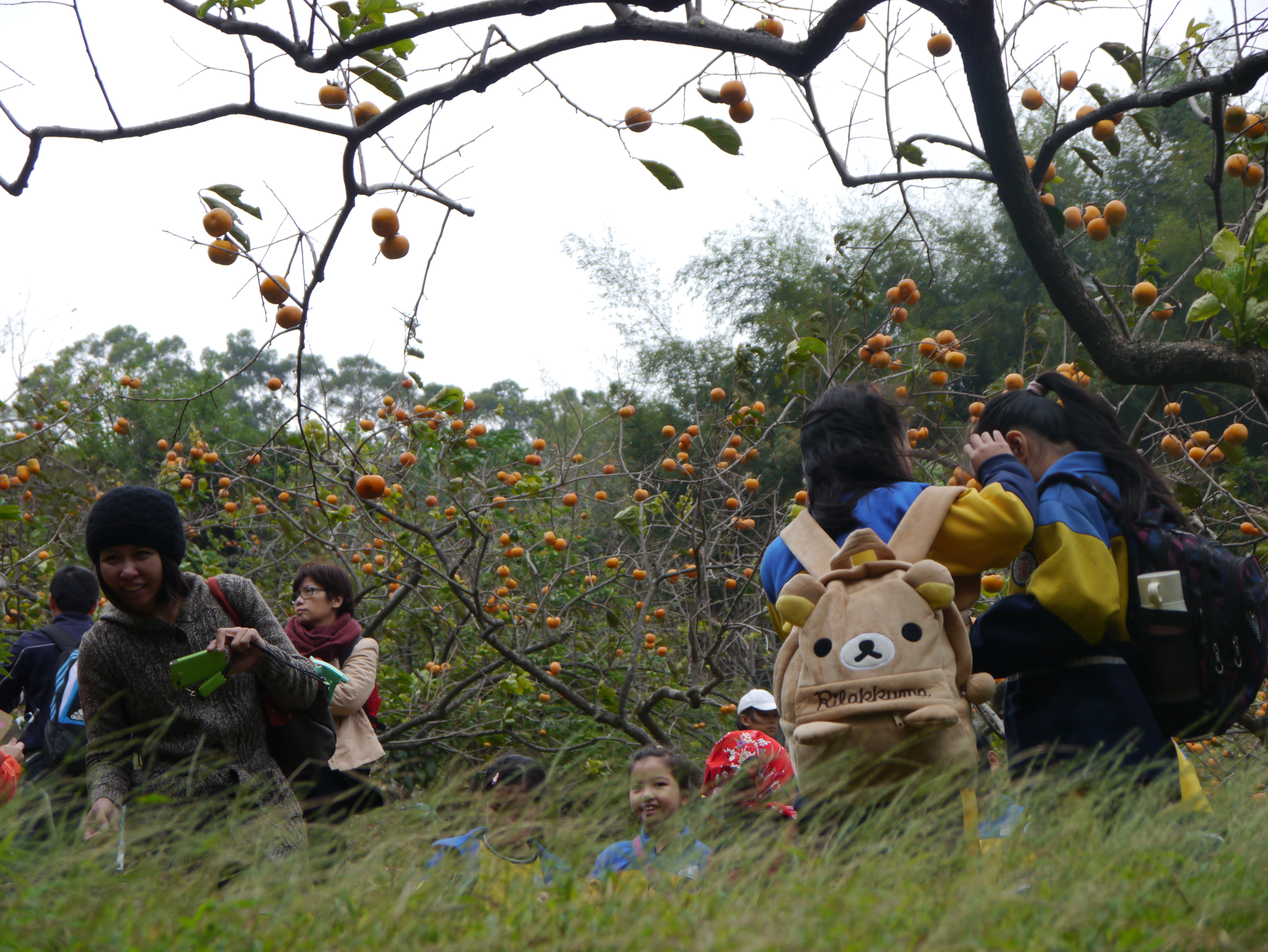 Reise durch Taiwan