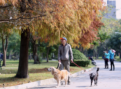 Reise: Parks in Taipei