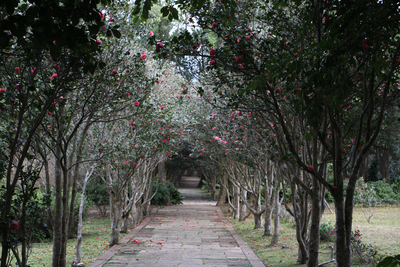 Reise durch Taiwan
