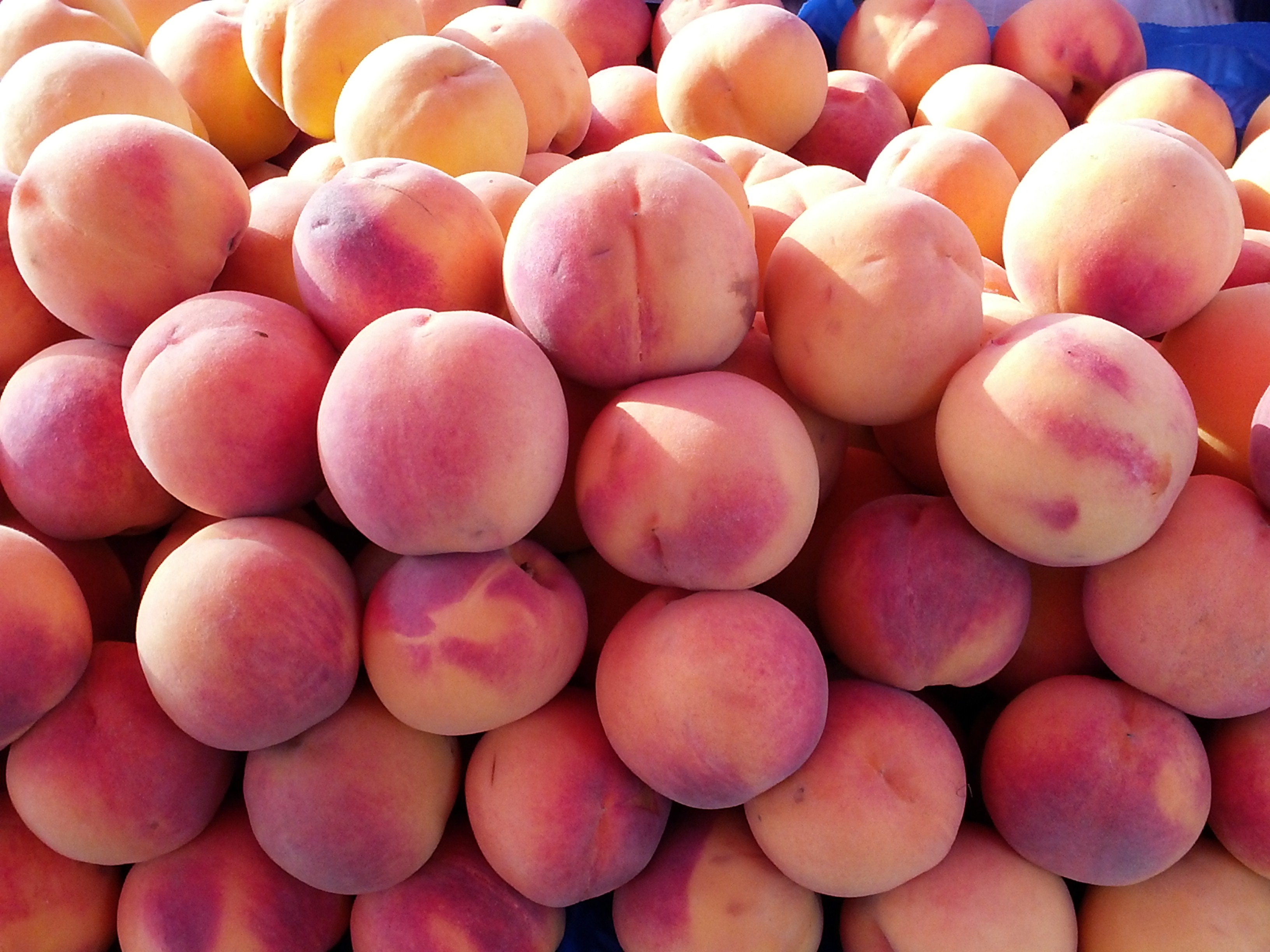 Reise: Obst in Taiwan