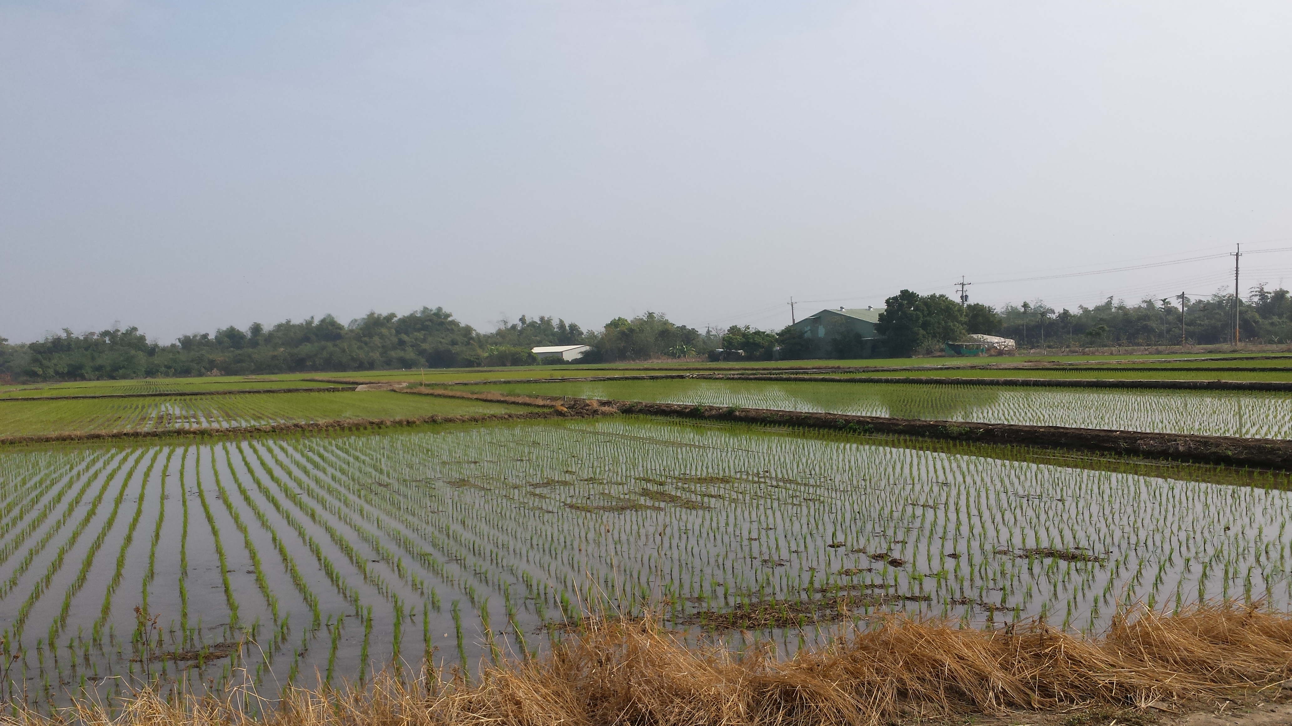 Reise durch Taiwan Reise durch Taiwan