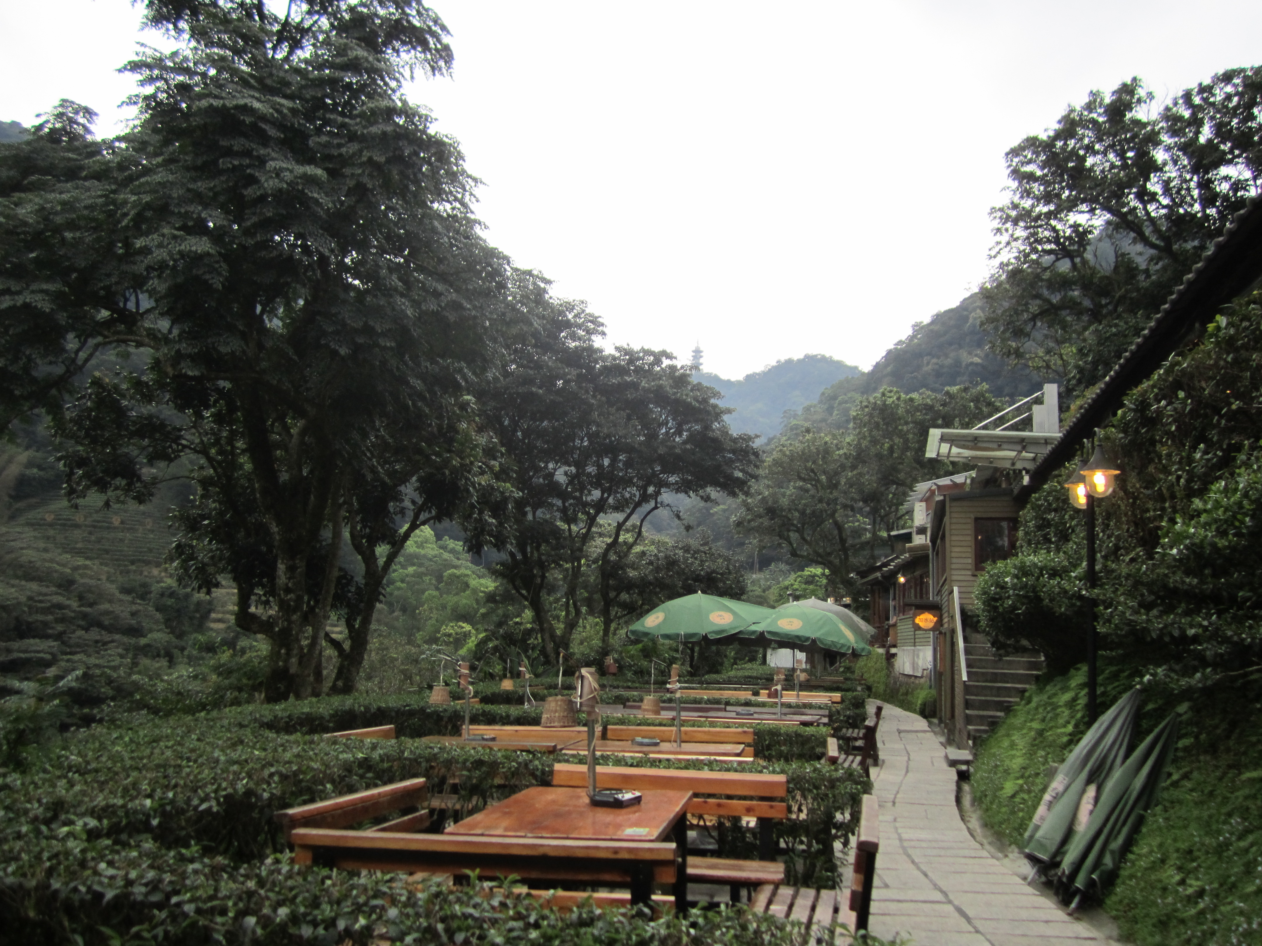 Maokong Teeberge