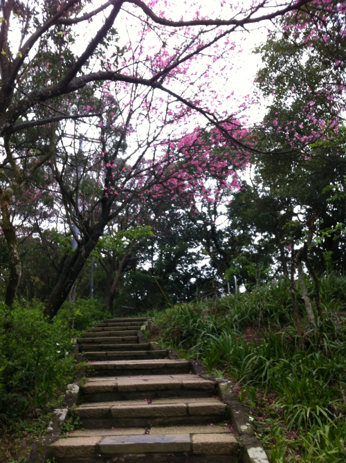 Reise durch Taiwan Reise durch Taiwan