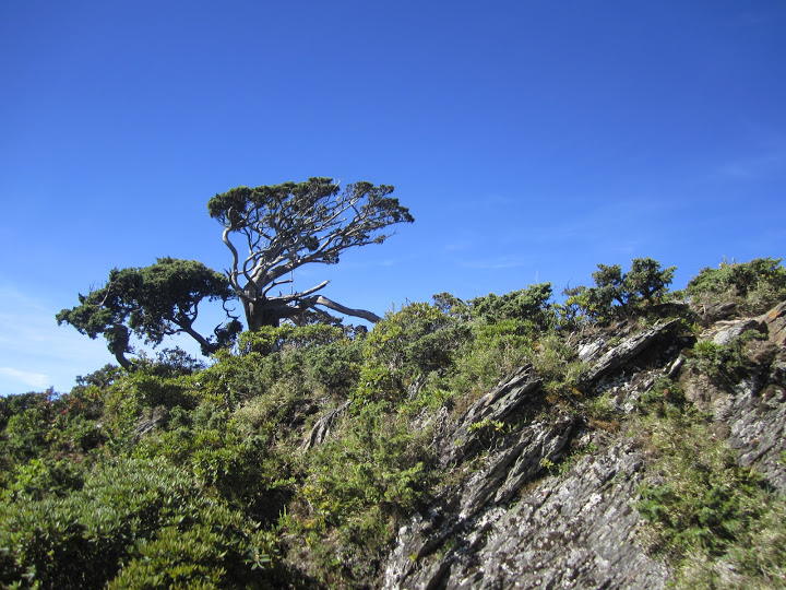 Reise durch Taiwan