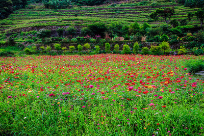Reise durch Taiwan Reise durch Taiwan