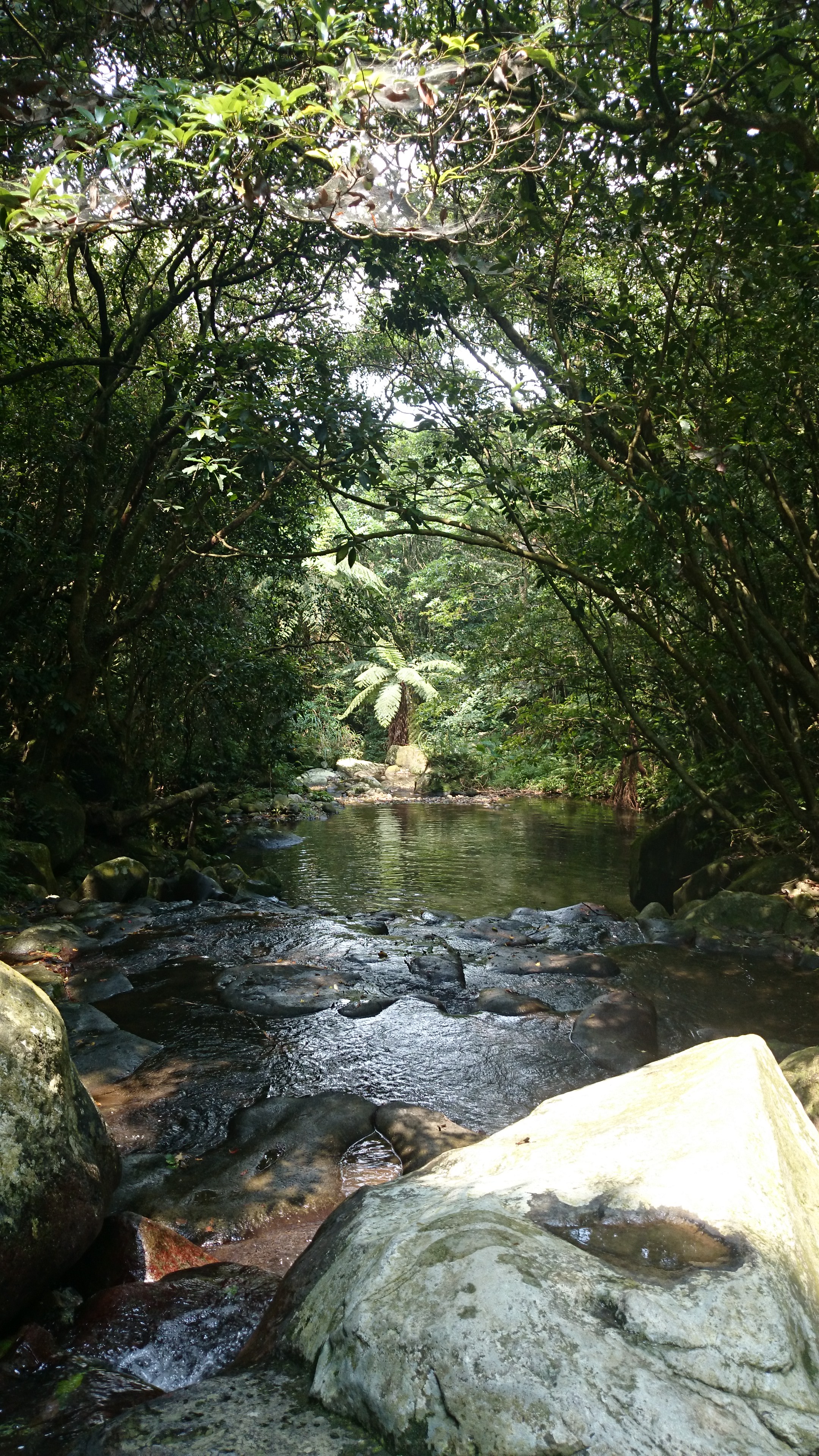Reise durch Taiwan Reise durch Taiwan