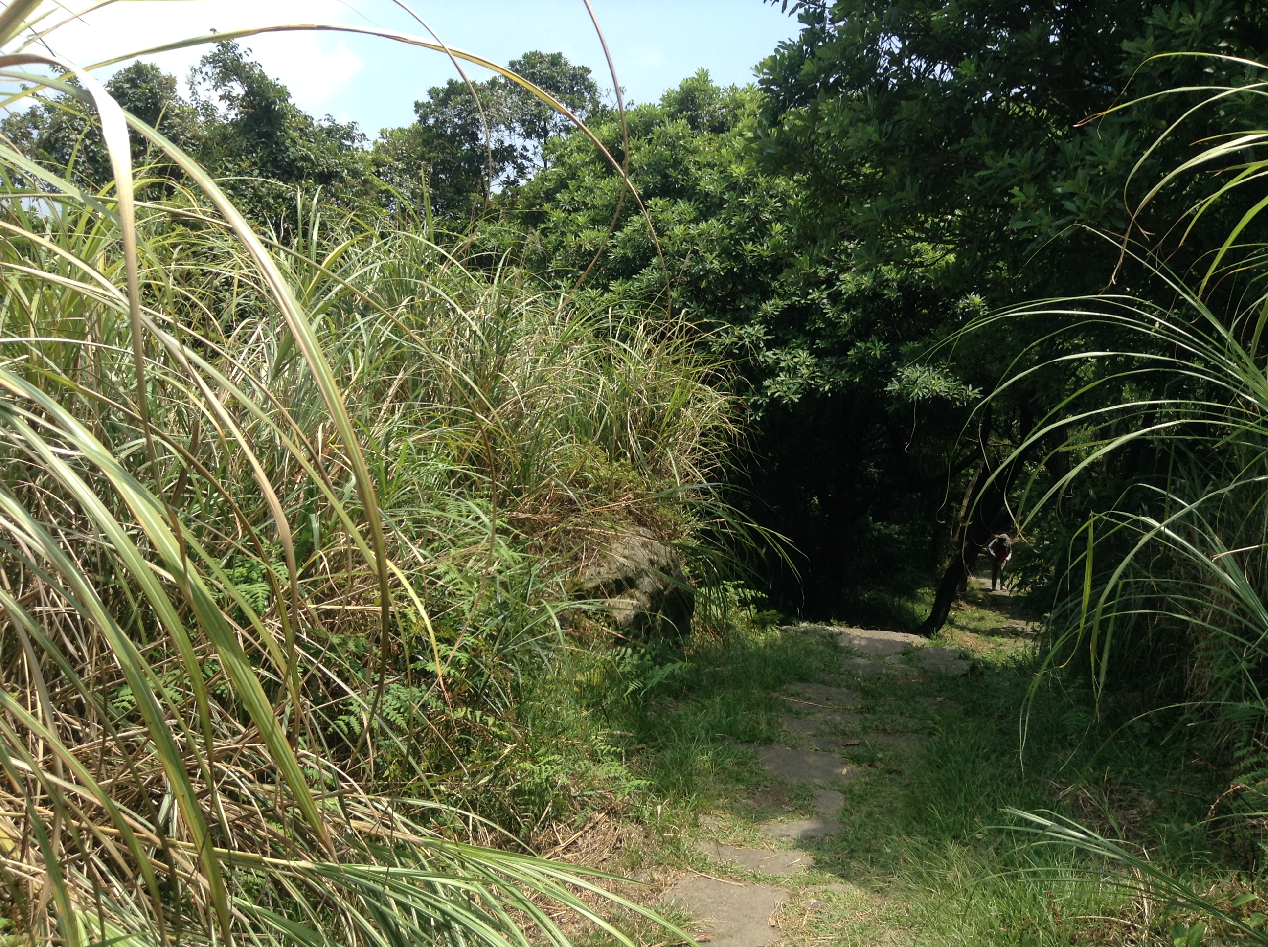 Reise durch Taiwan