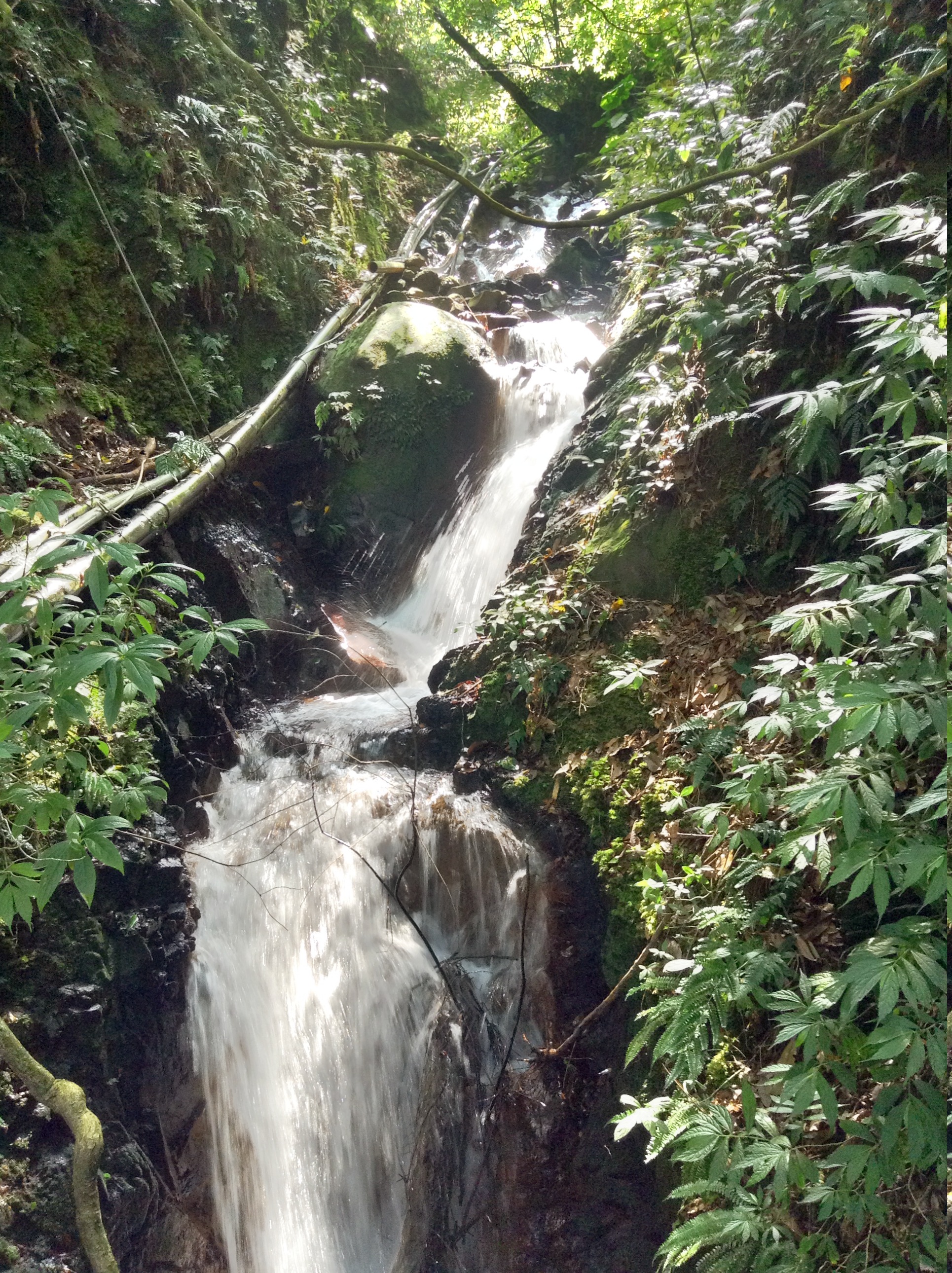 Reise durch Taiwan