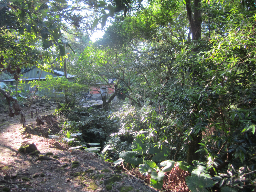 Reise durch Taiwan