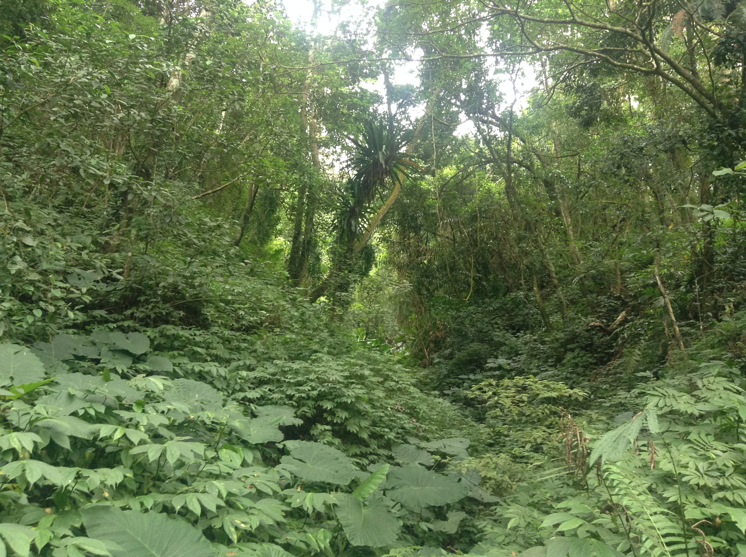 Reise durch Taiwan