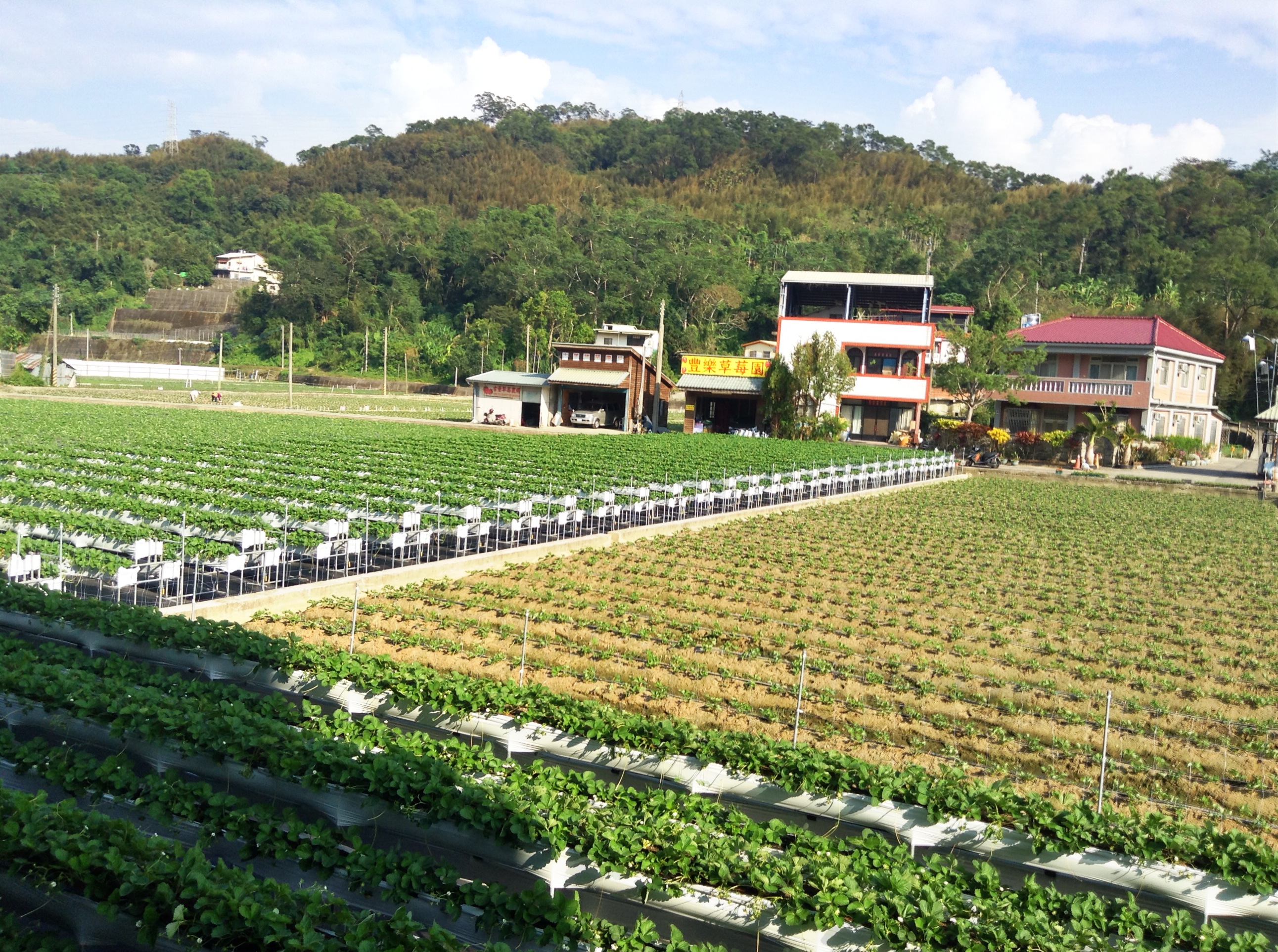 Reise durch Taiwan
