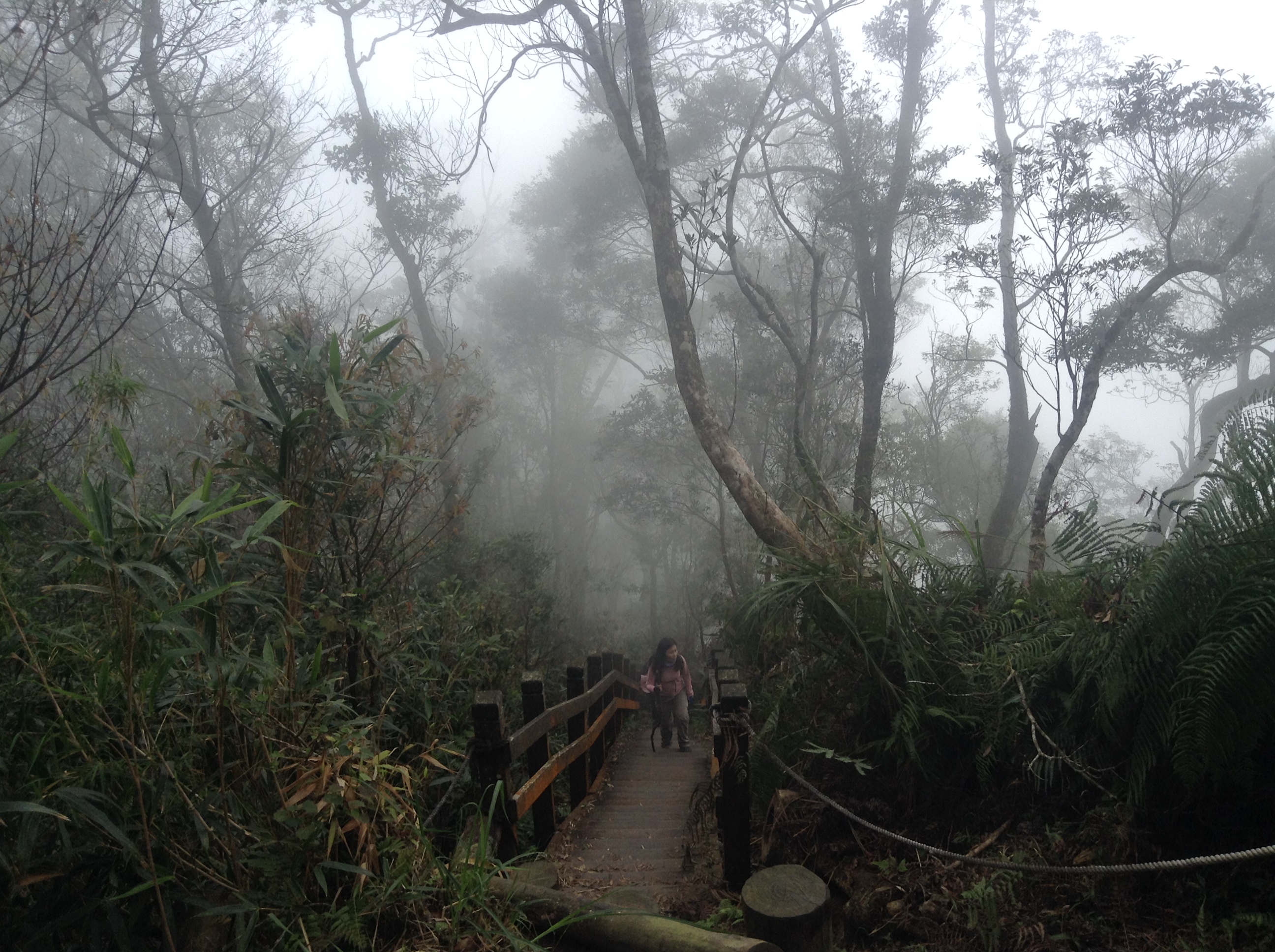 Reise durch Taiwan
