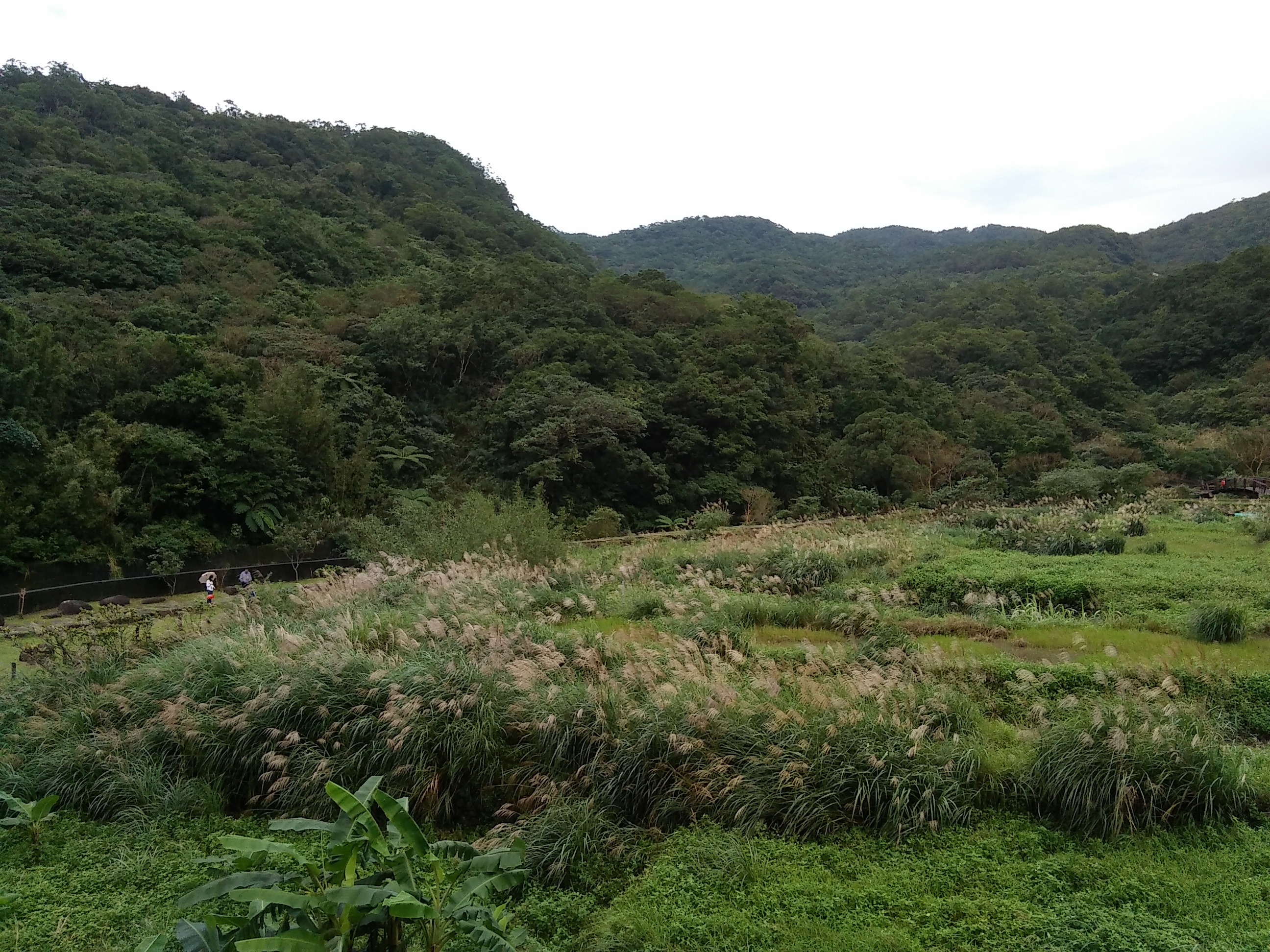 Reise durch Taiwan
