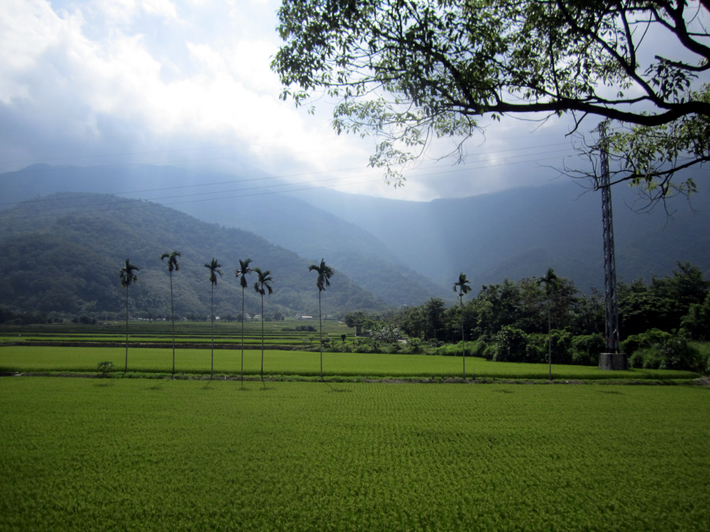Reise durch Taiwan