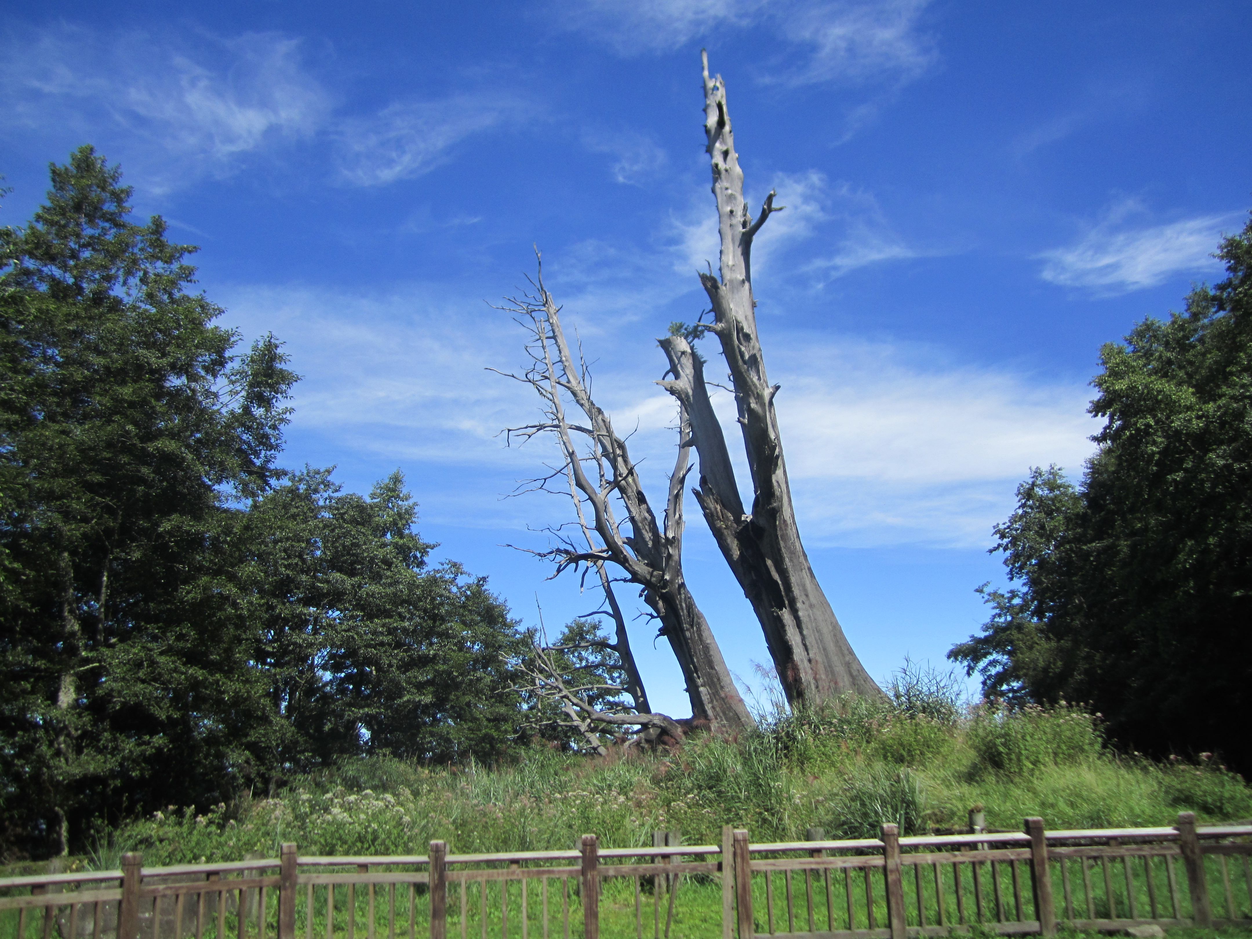 Reise durch Taiwan