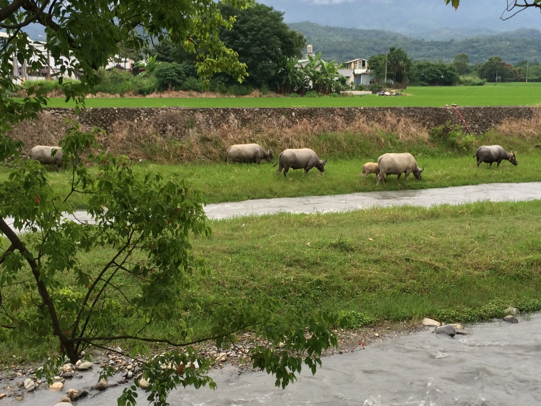 Reise durch Taiwan Reise durch Taiwan