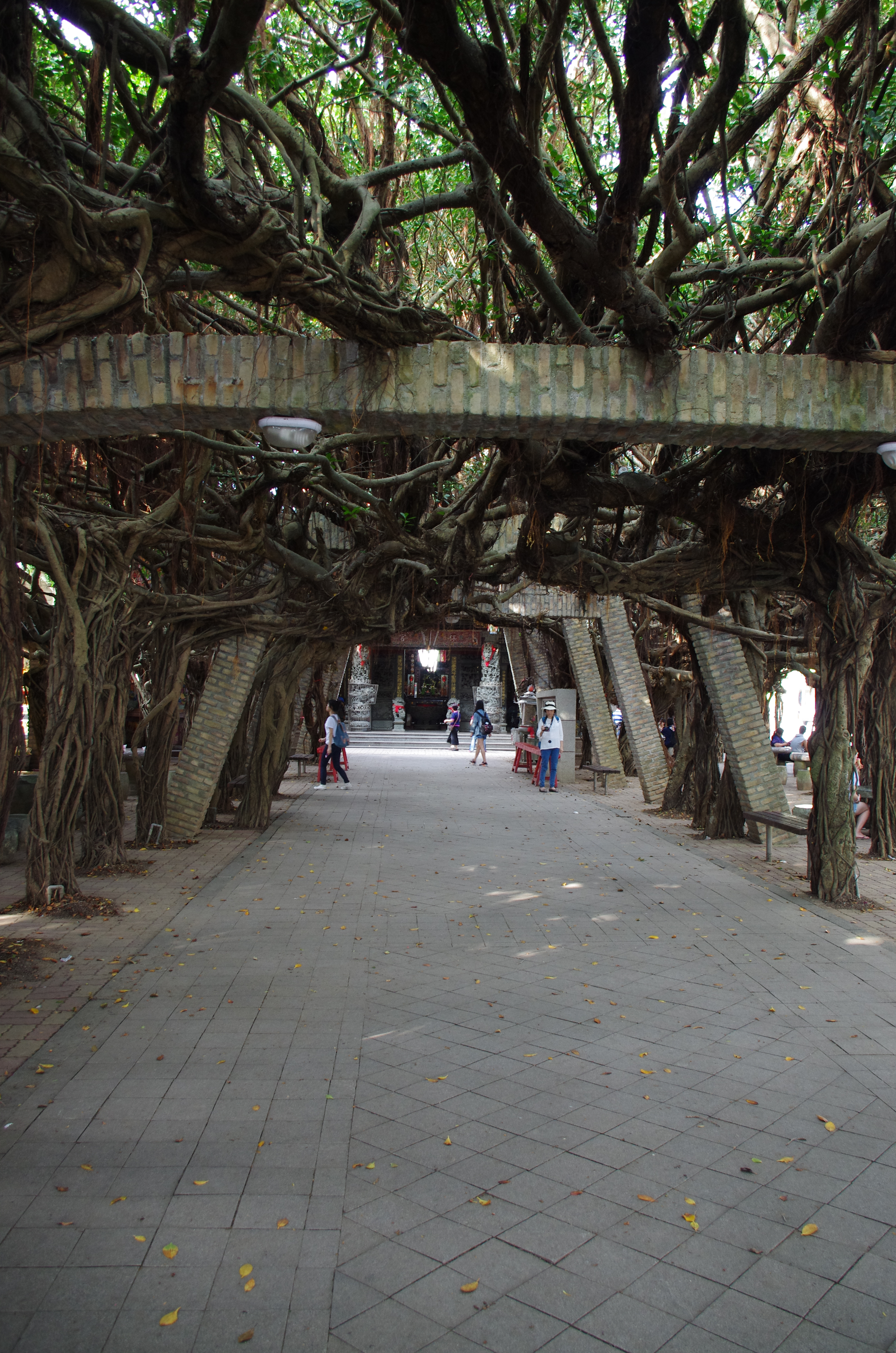 Reise durch Taiwan