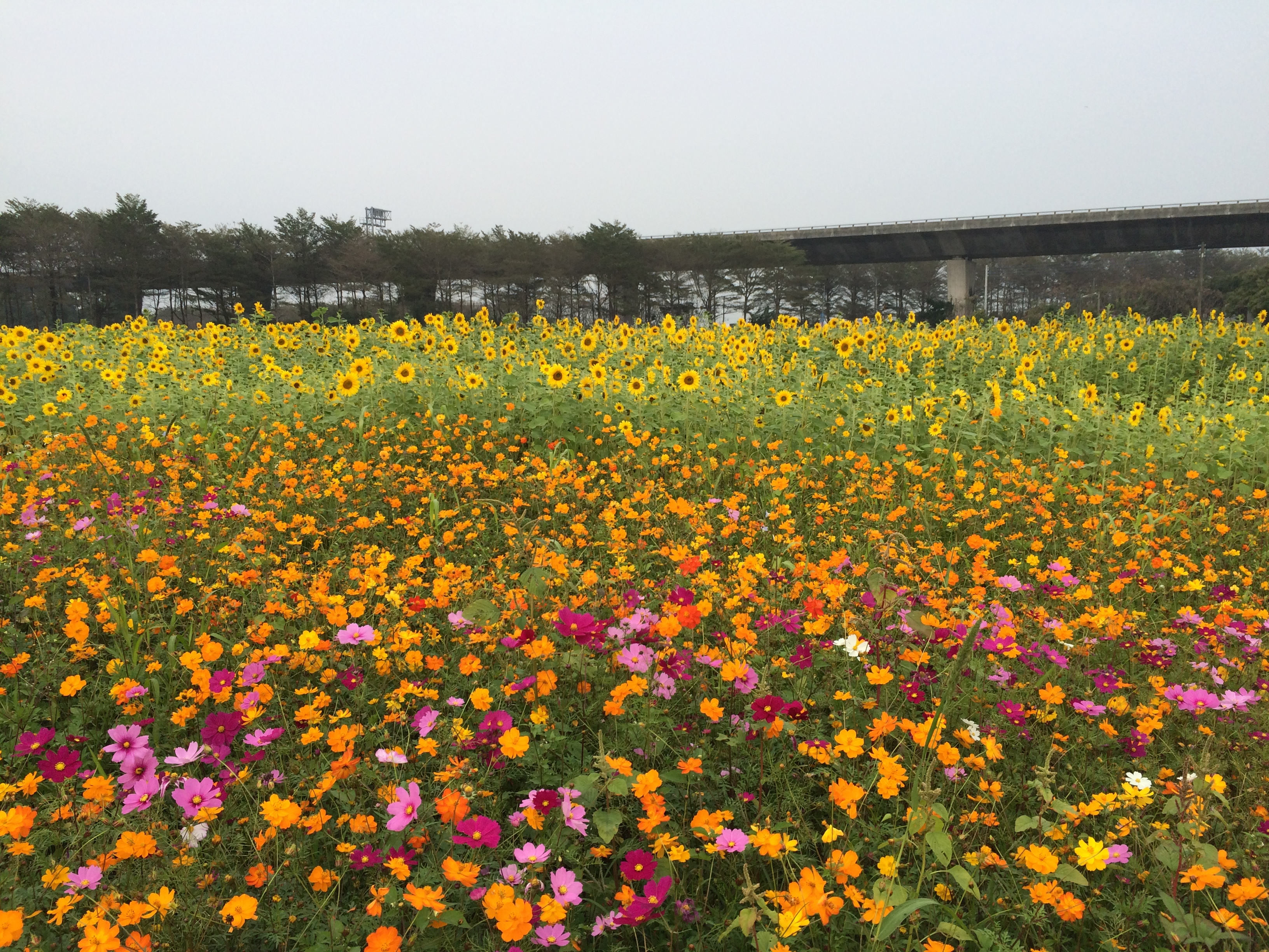 Reise durch Taiwan