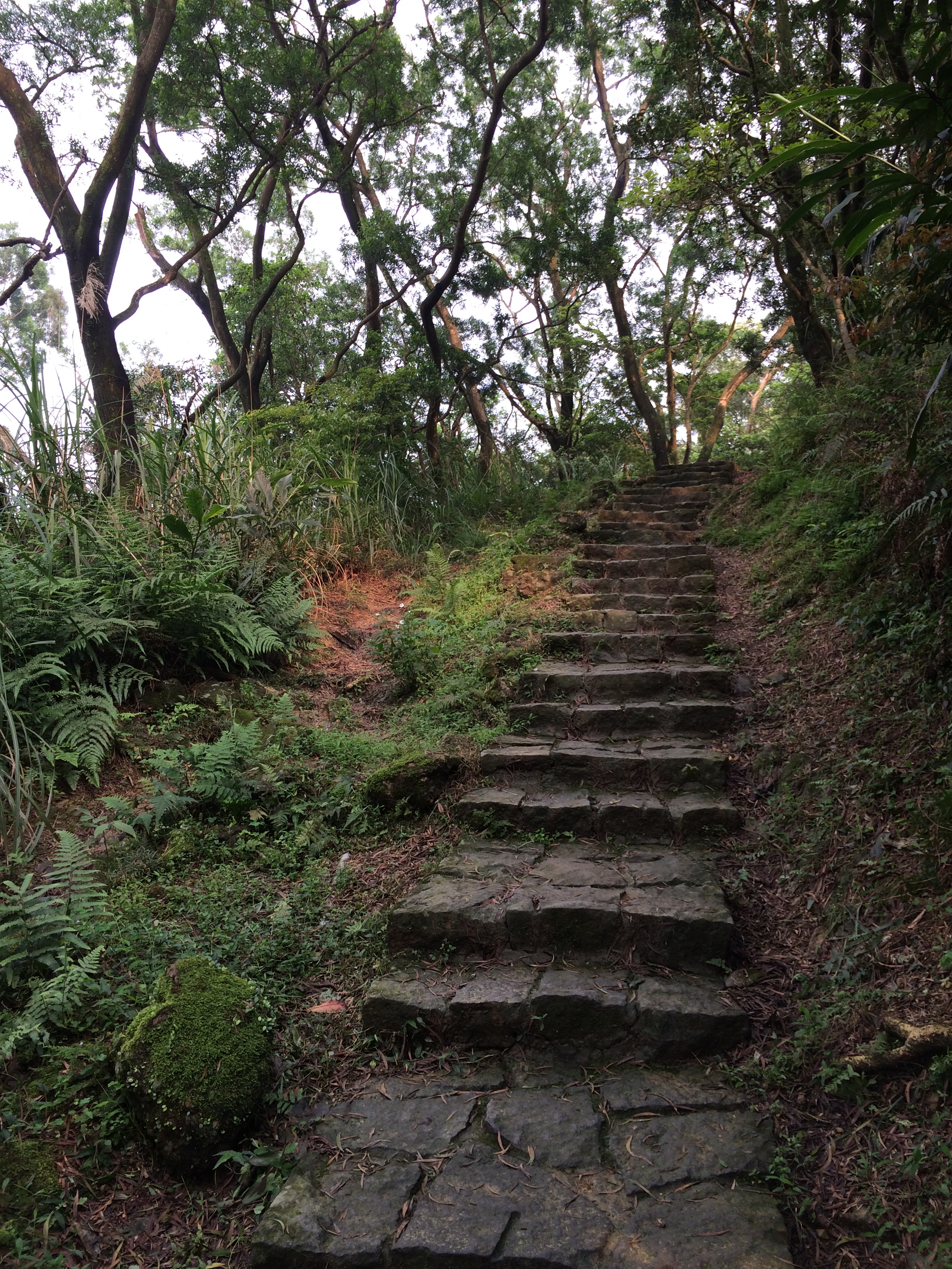 Reise durch Taiwan