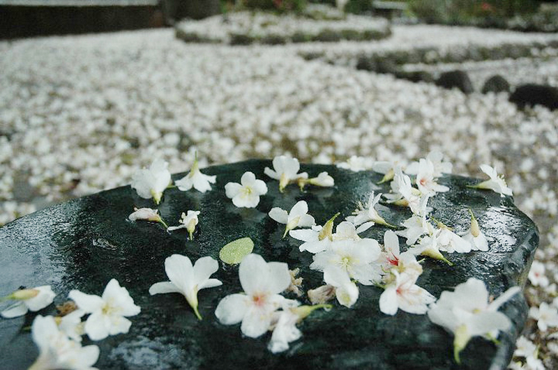 Reise durch Taiwan