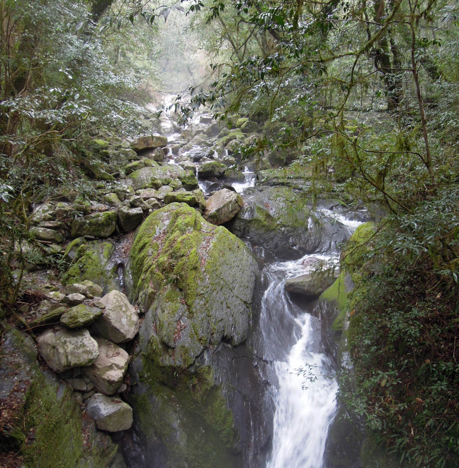 Reise durch Taiwan