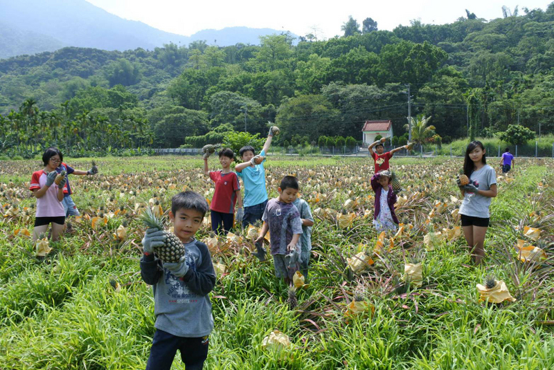 Obstvielfalt in Taiwan