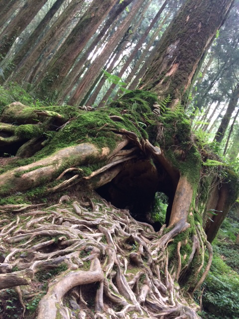 Reise durch Taiwan