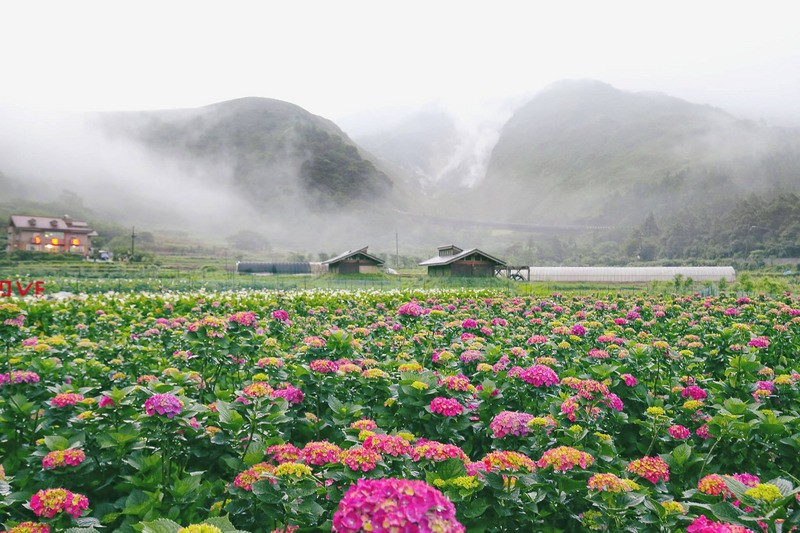 Reise durch Taiwan