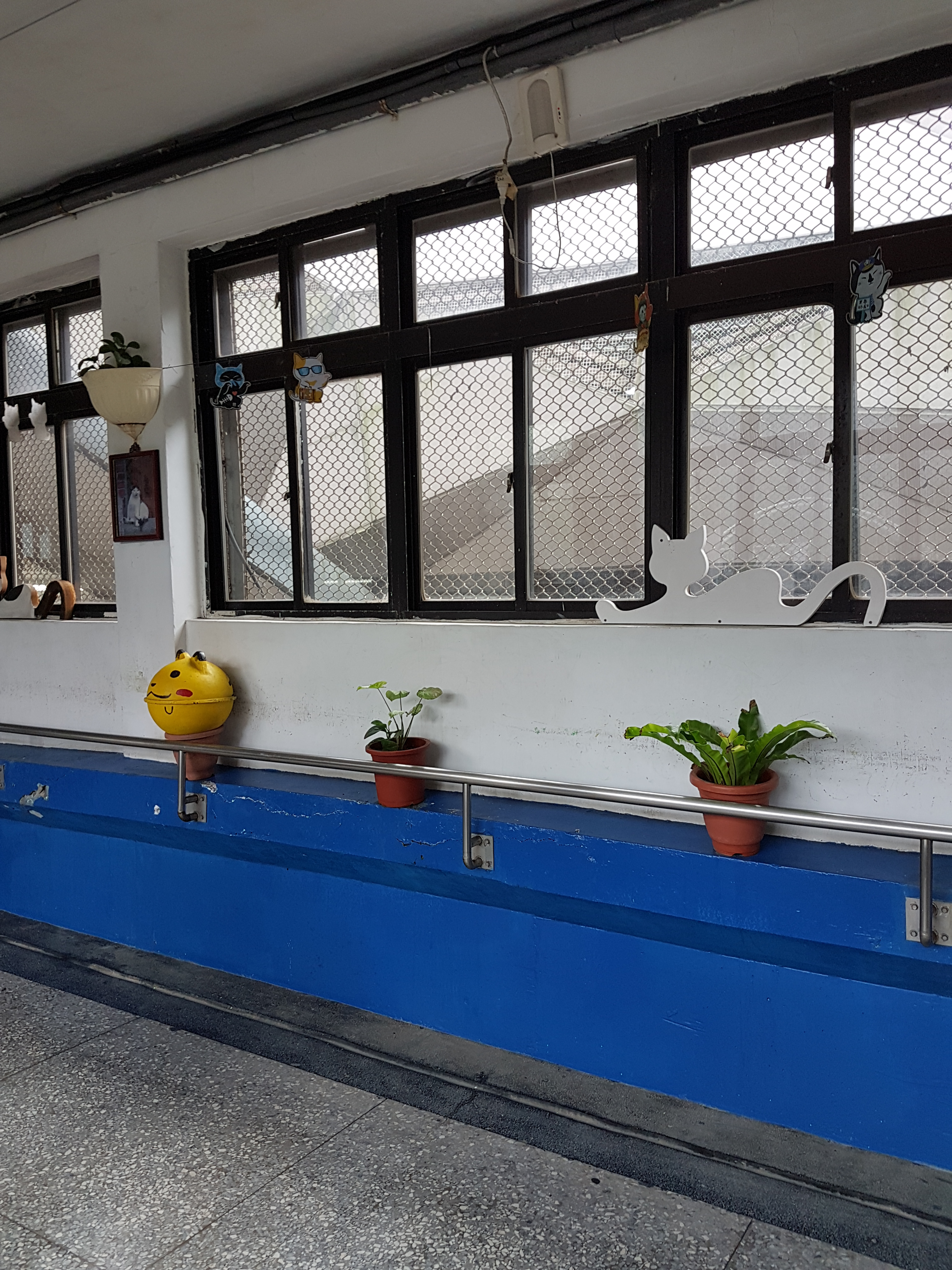 Reise durch Taiwan