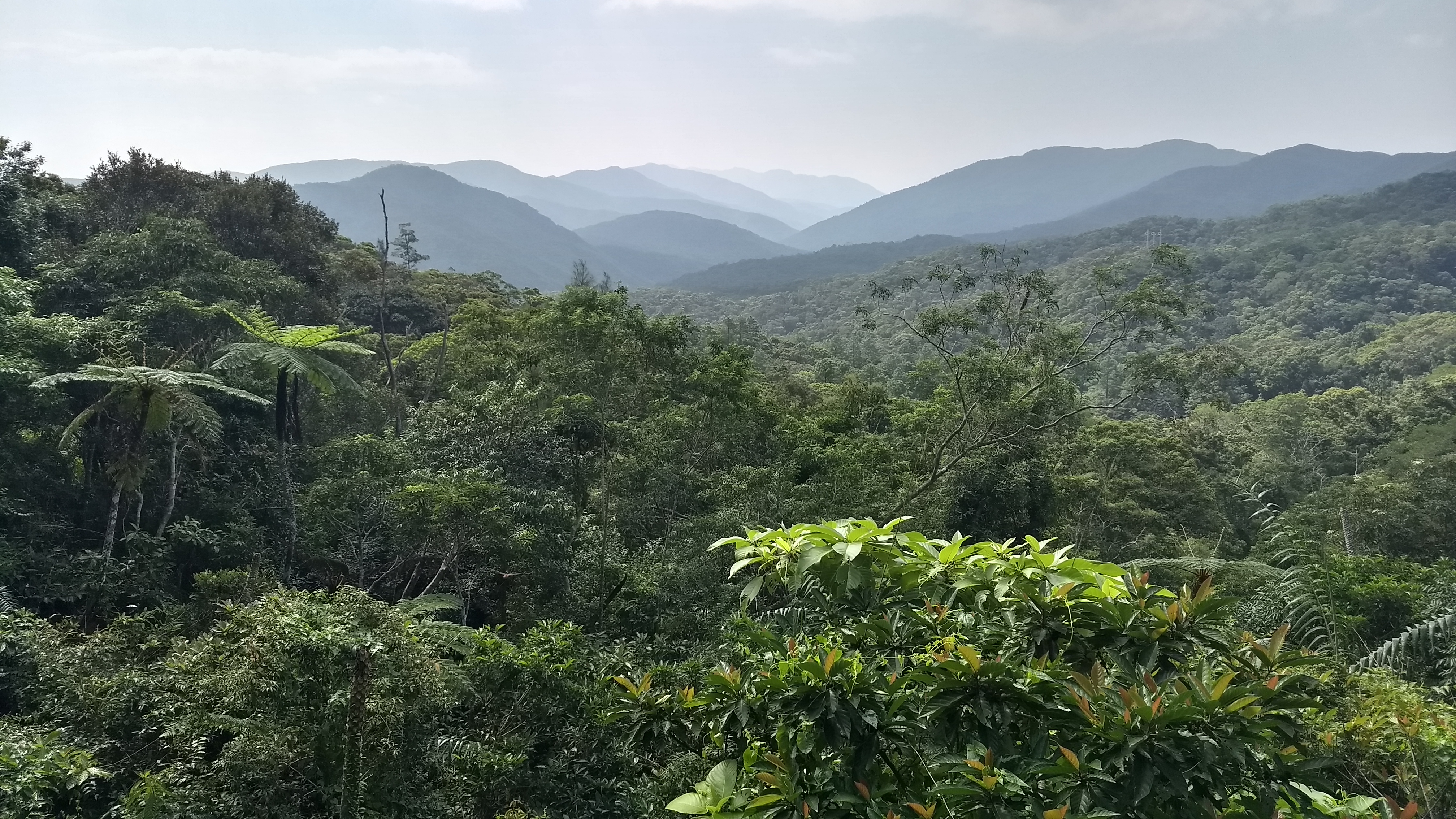 Reise durch Taiwan