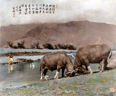 Taiwan entdecken