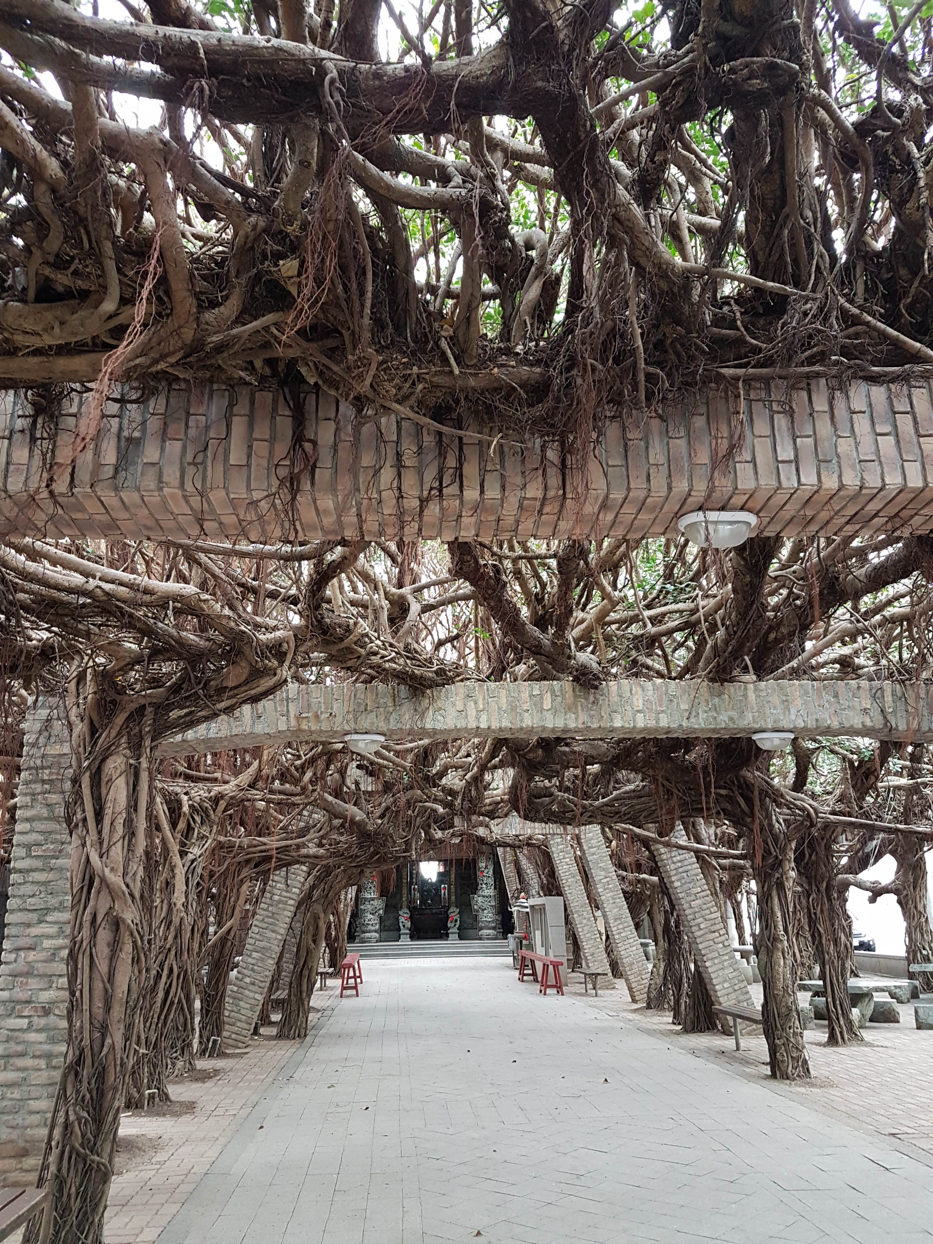 Reise nach Penghu