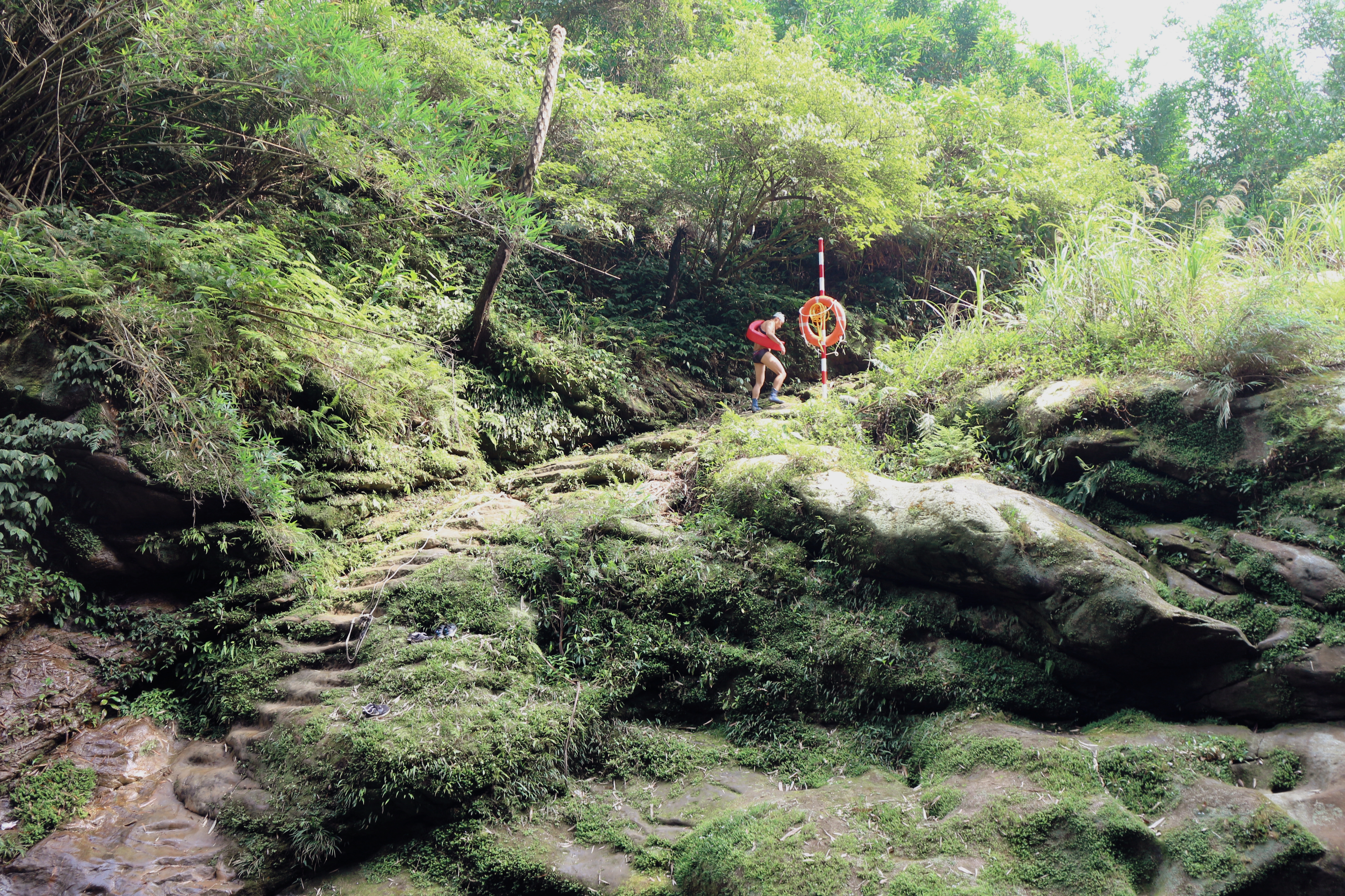 Wanderungen zum 'Goldenes-Gesicht-Berg' und 'Regenwurmloch' Wanderungen zum 'Goldenes-Gesicht-Berg' und 'Regenwurmloch'