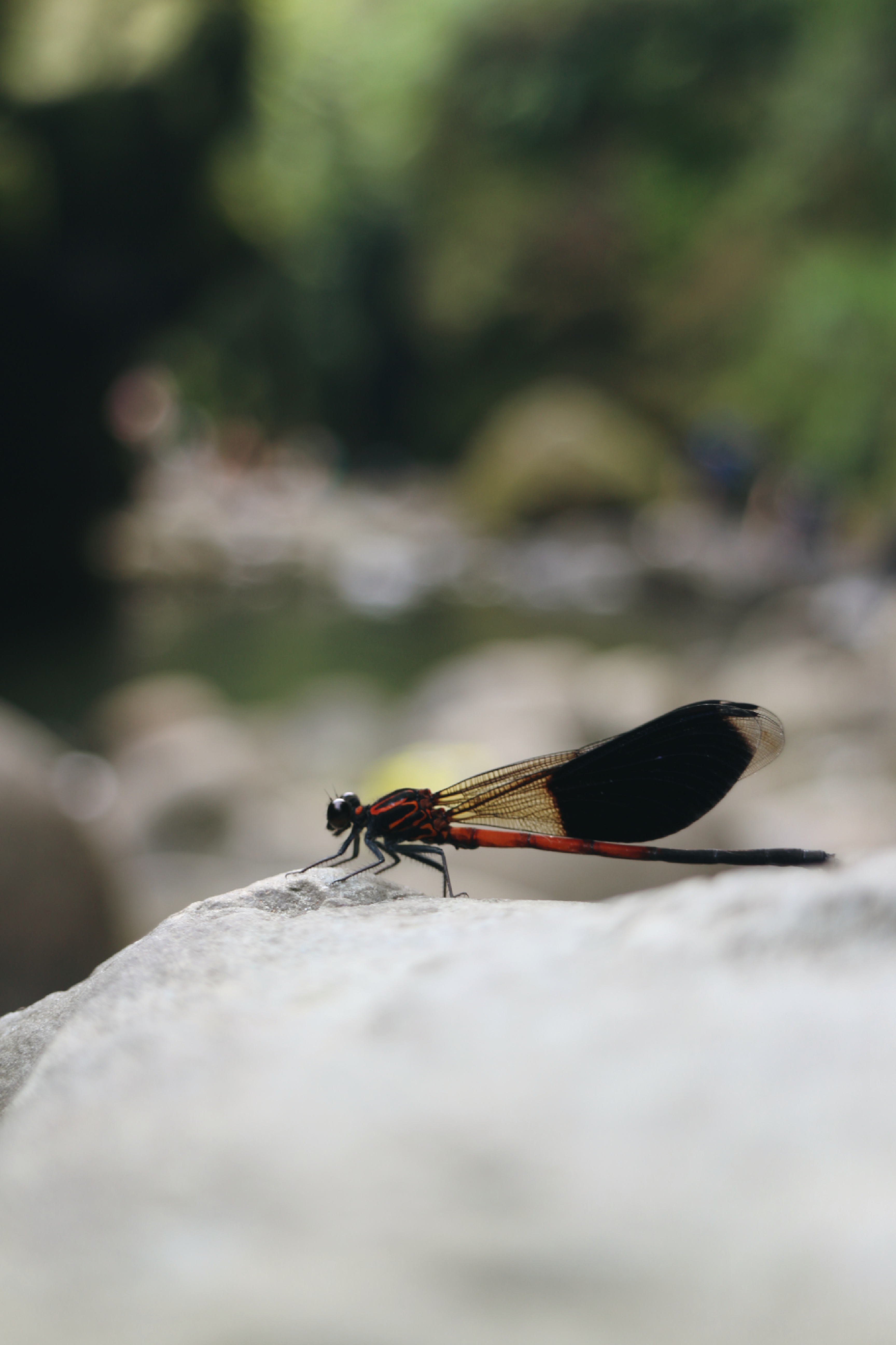 Reise durch Taiwan