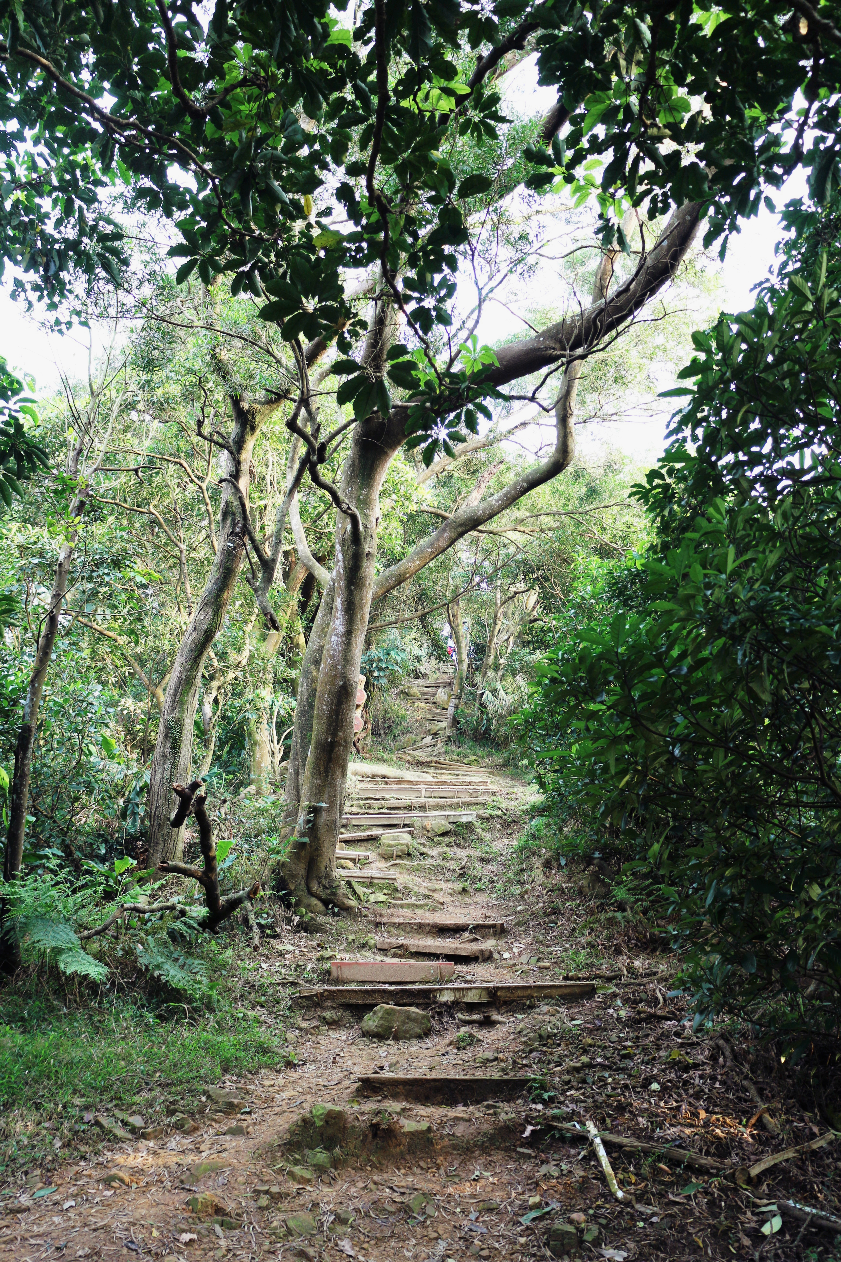 Reise durch Taiwan